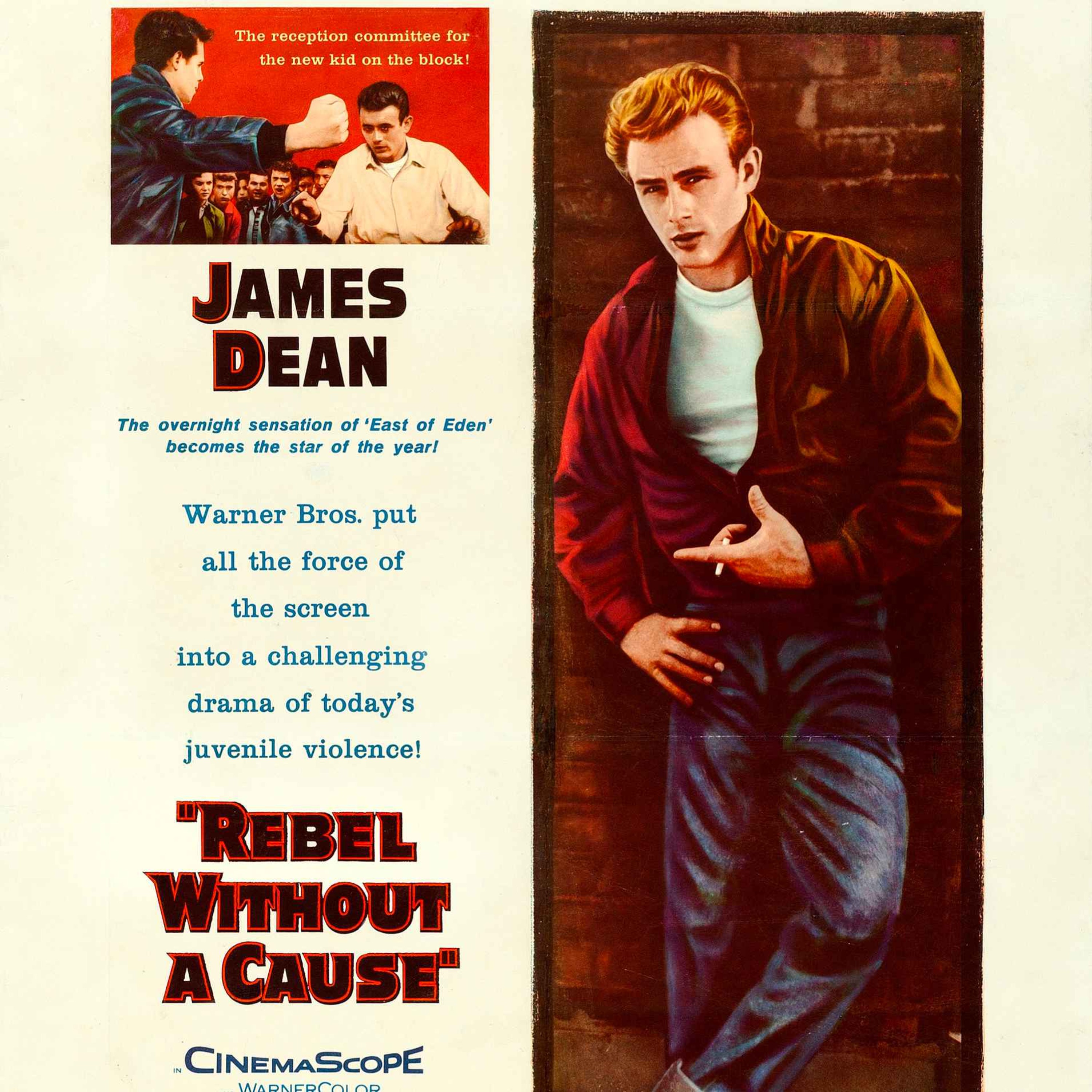 Rebel Without A Script