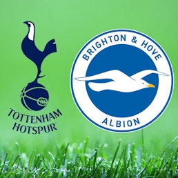 Seagulls Scene-Setter