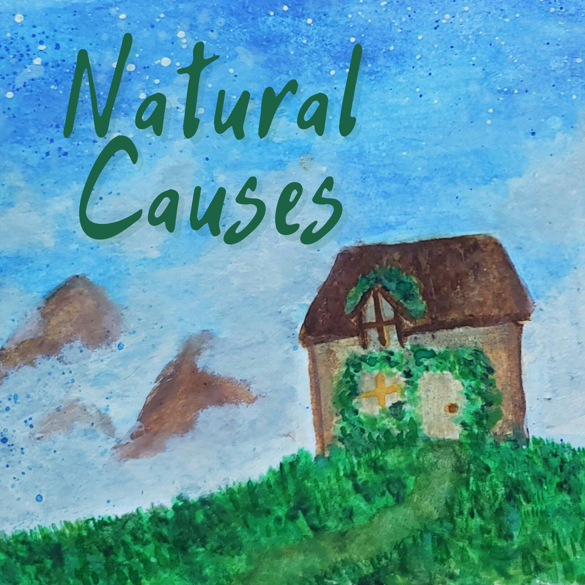 3.2 Natural Causes