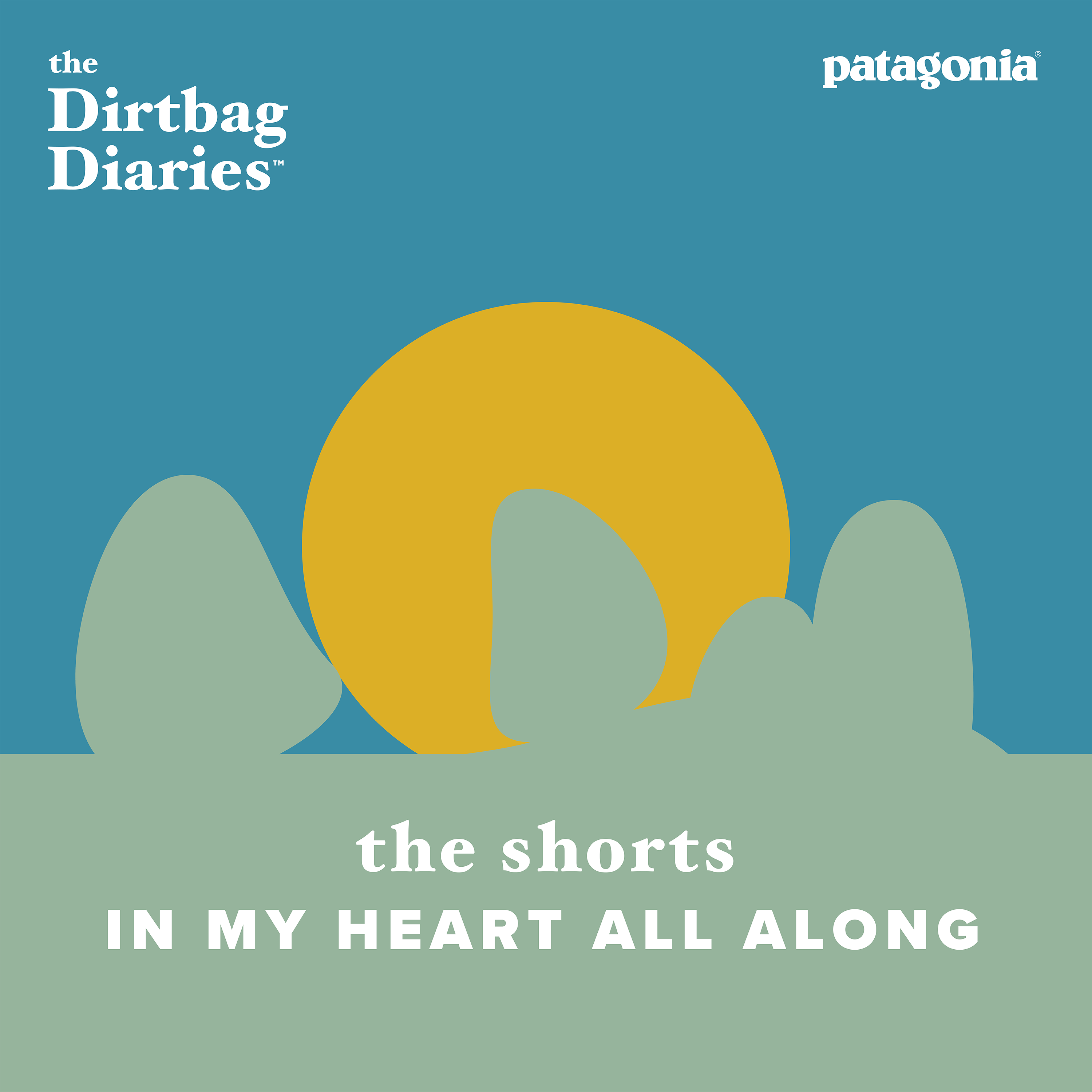 The Shorts--In My Heart All Along