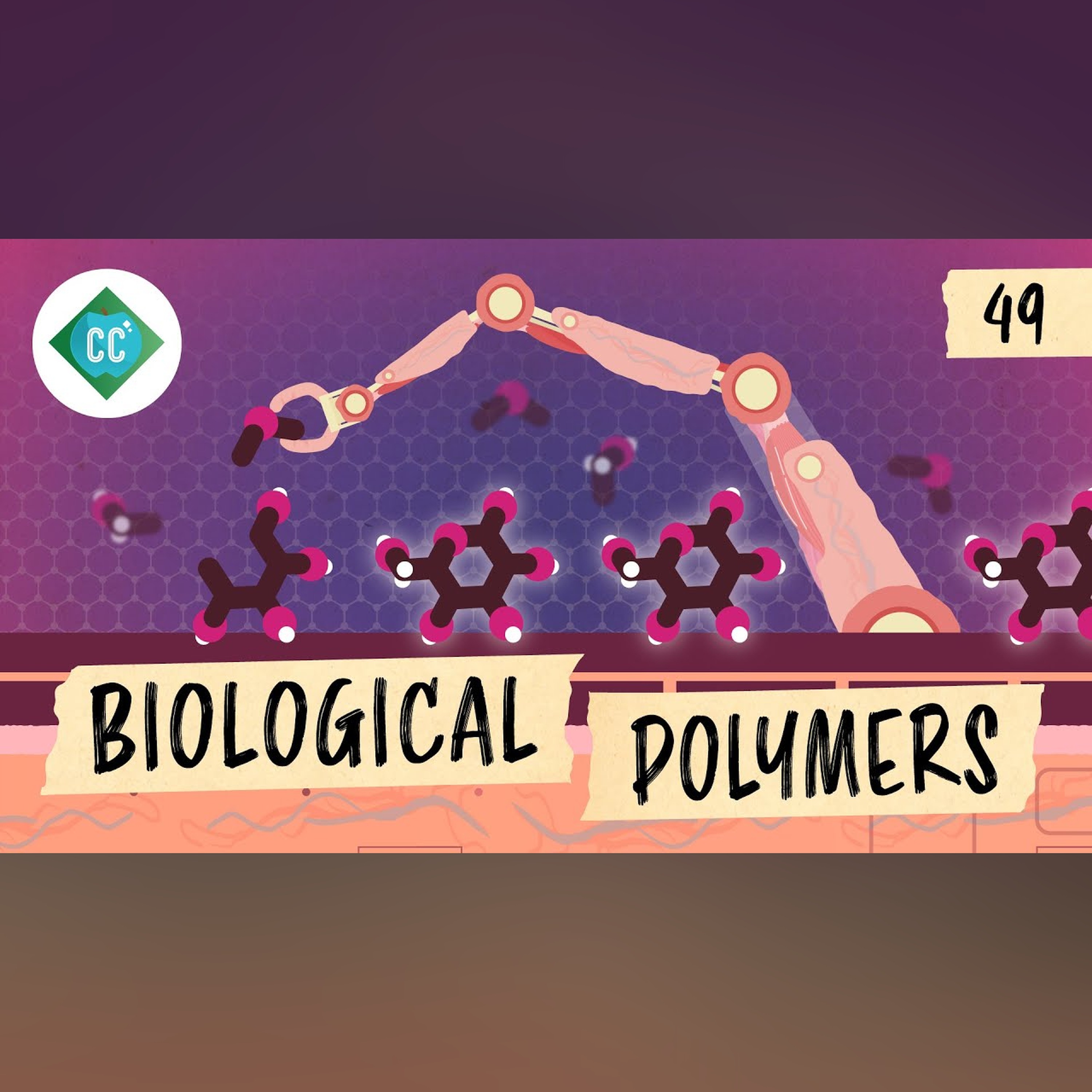 Biological Polymers: Crash Course Organic Chemistry #49