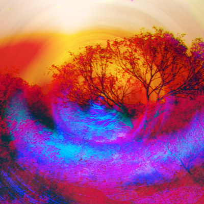 Sophia Reinders: The Alchemy of the Senses: From Perception to Creative Participation in the Sensuous Kinship of Body and Earth