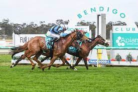 New Bendigo Jockey Club CEO Rob Heinjus with Andrew Kuuse thumbnail