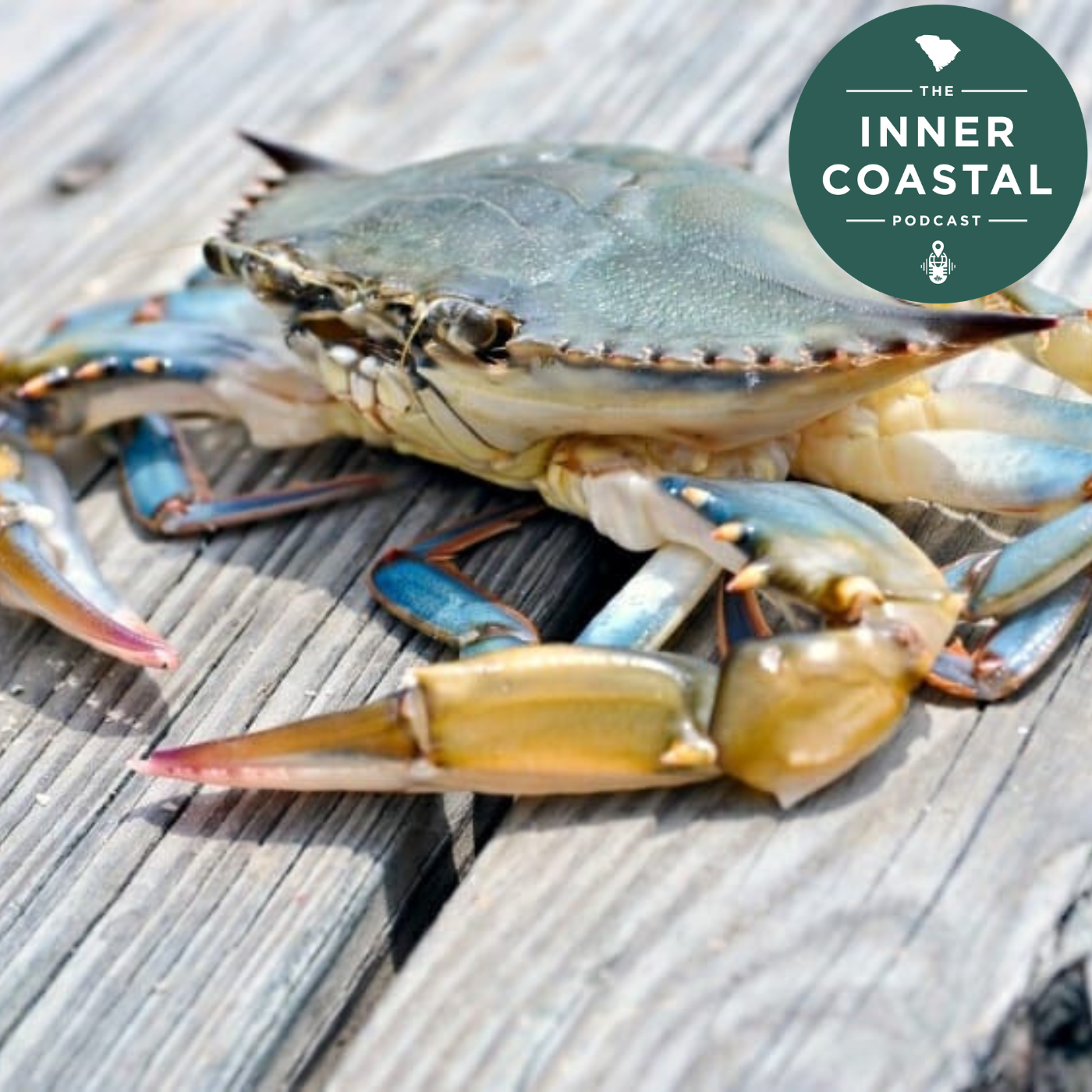 The Inner Coastal Podcast