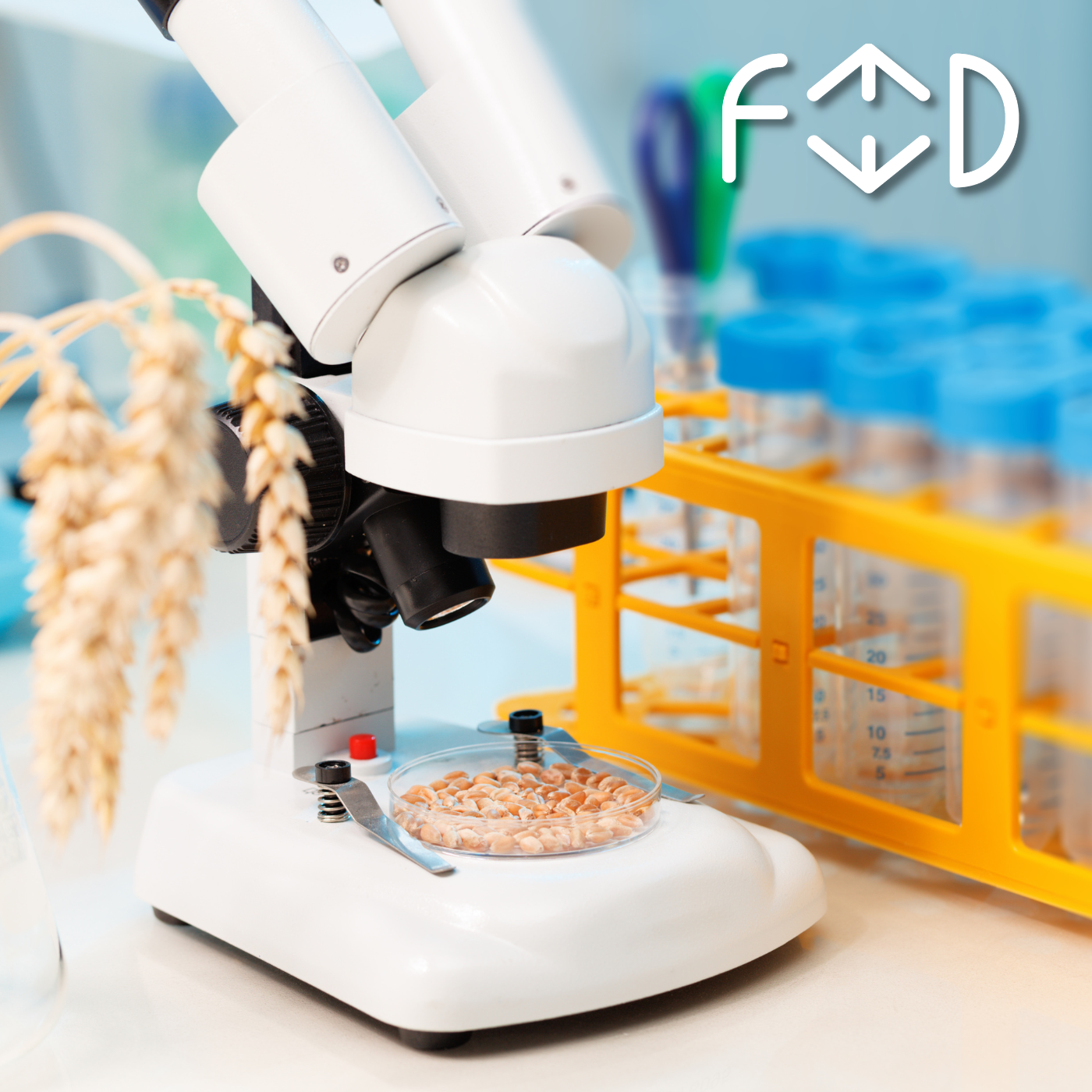 Gli OGM in Italia: demonizzazione, ideologia e legge