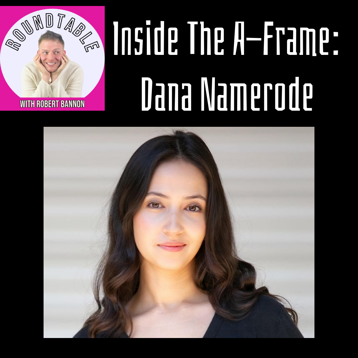 Inside The A-Frame: Dana Namerode Joins The Roundtable!