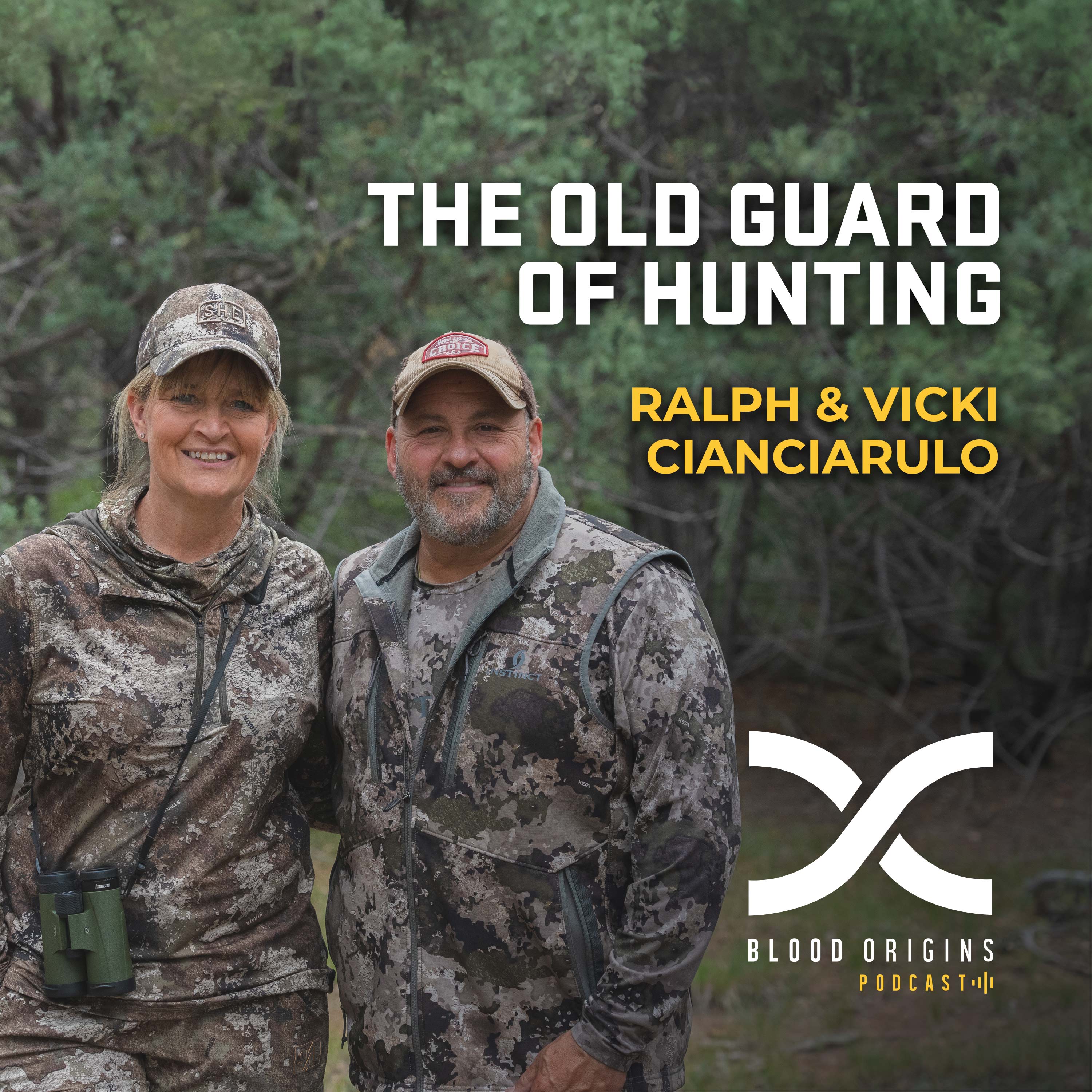 The Origins Foundation Podcast