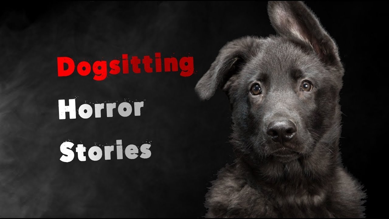 3 Scary True Dog Sitting Horror Stories episode artwork