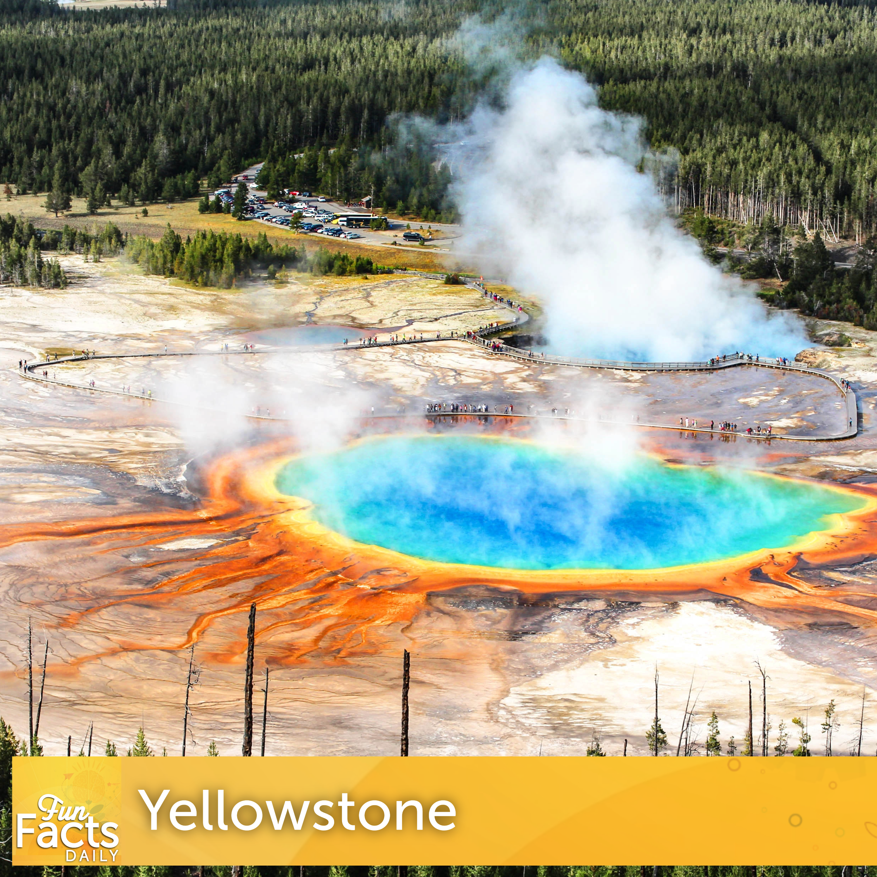 Fun Facts About Yellowstone