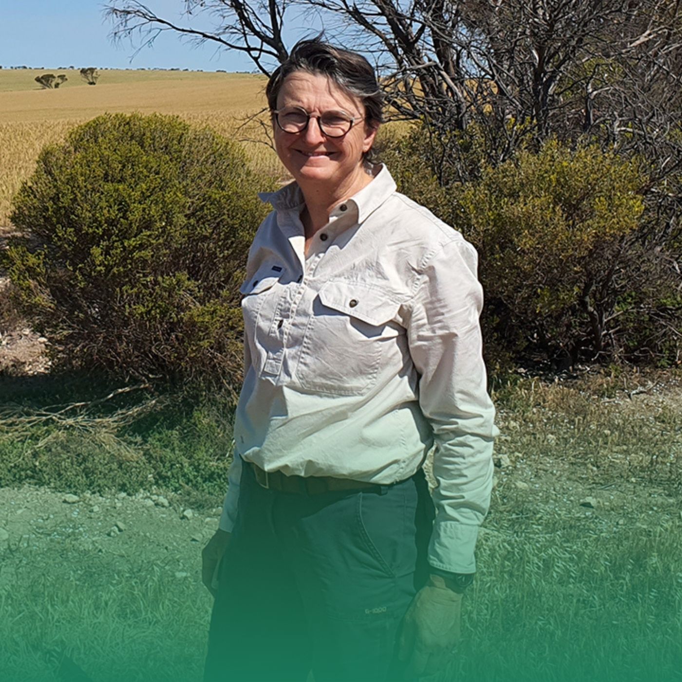 Grain automate: Getting started with autonomy