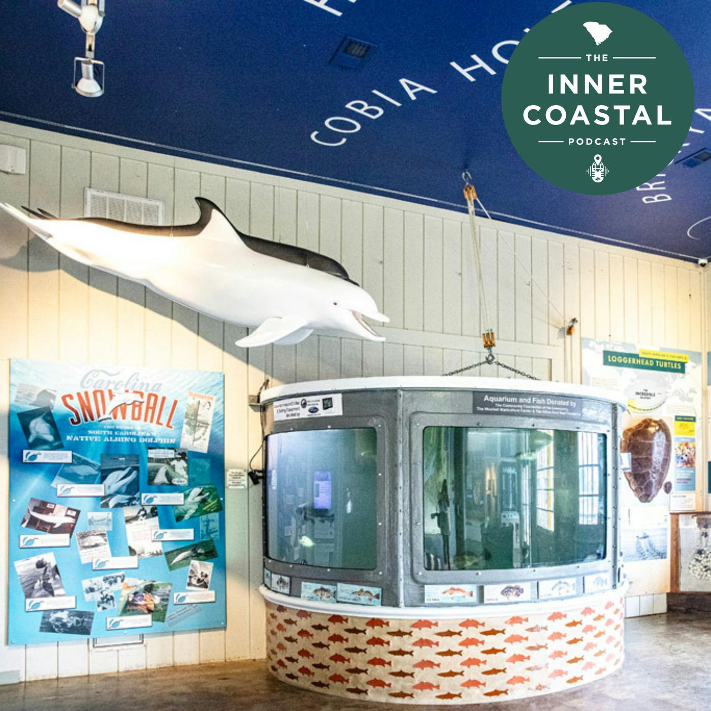 133: Exploring the Wonders of the Port Royal Sound 133: Exploring the Wonders of the Port Royal Sound