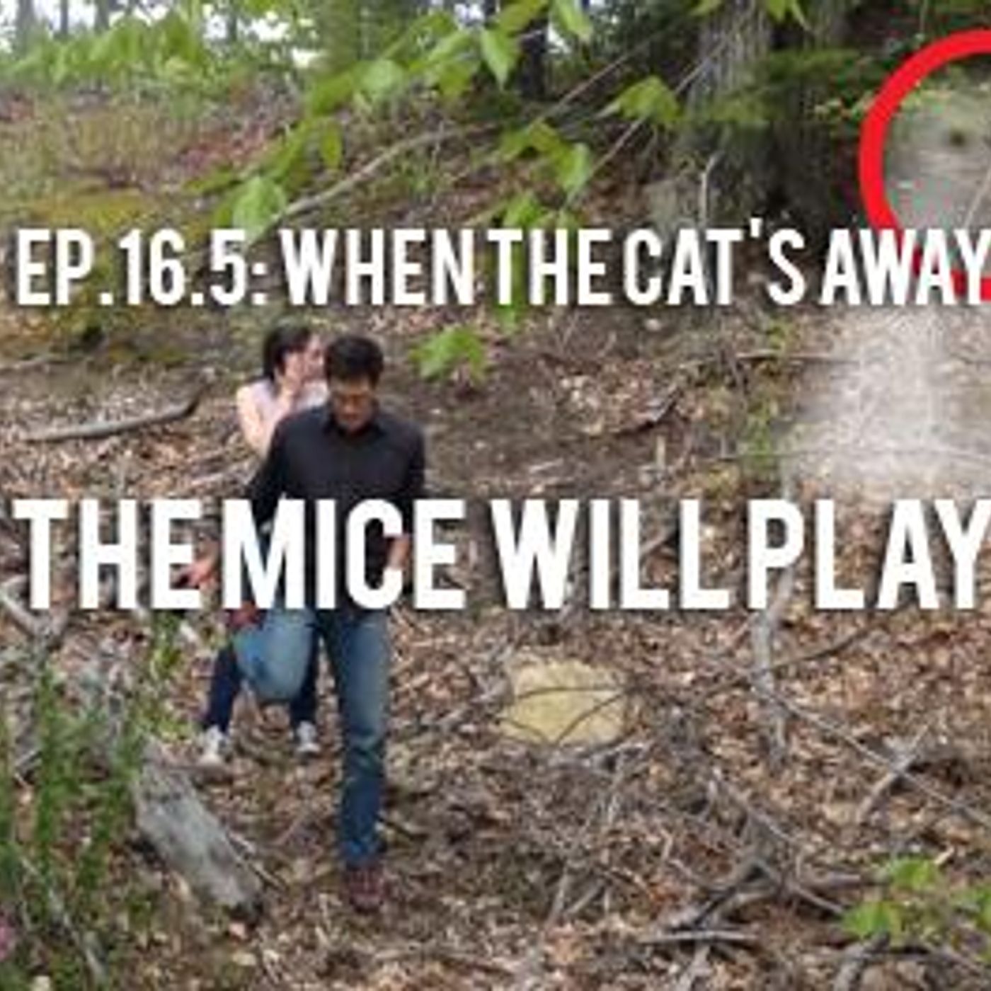 When the Cat's Away, The Mice Will Play