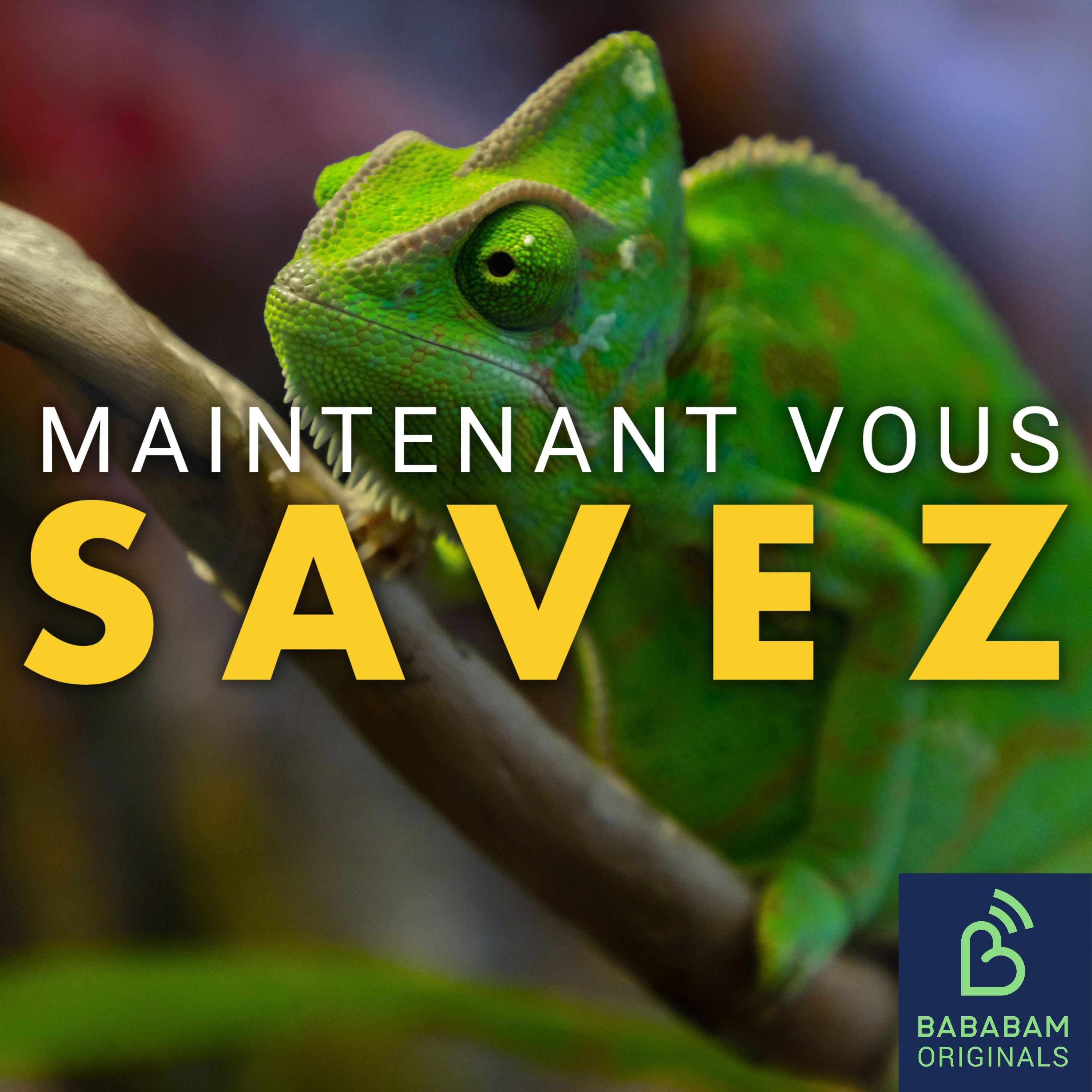 Qu’est-ce que l’effet caméléon ?