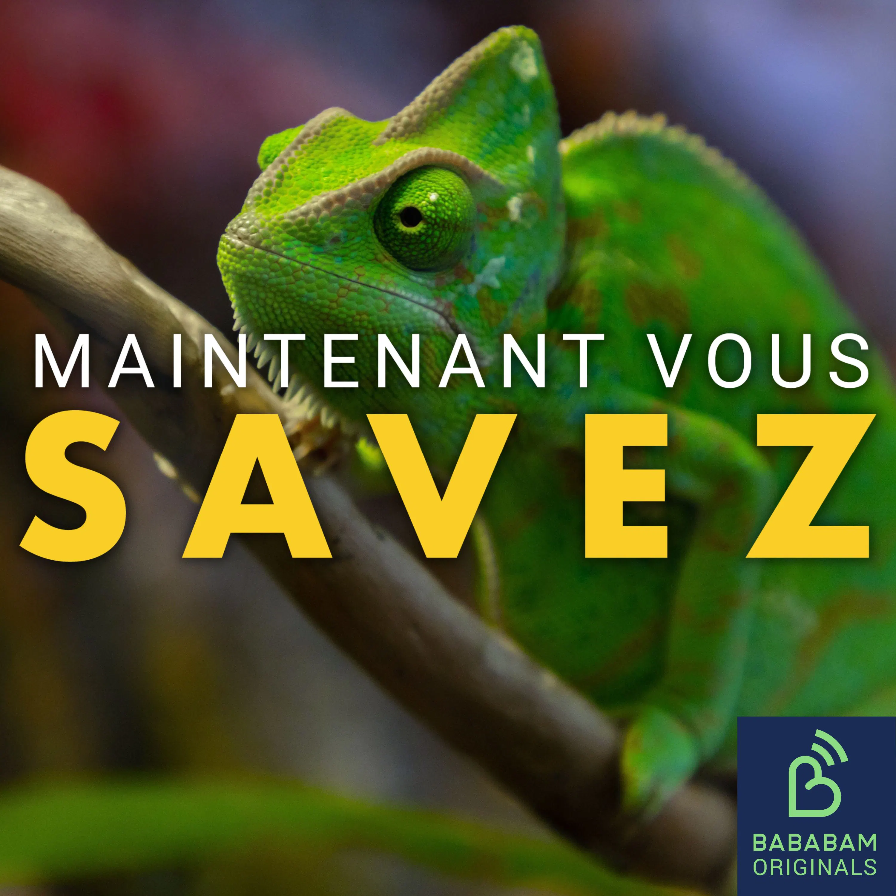 Qu’est-ce que l’effet caméléon ?