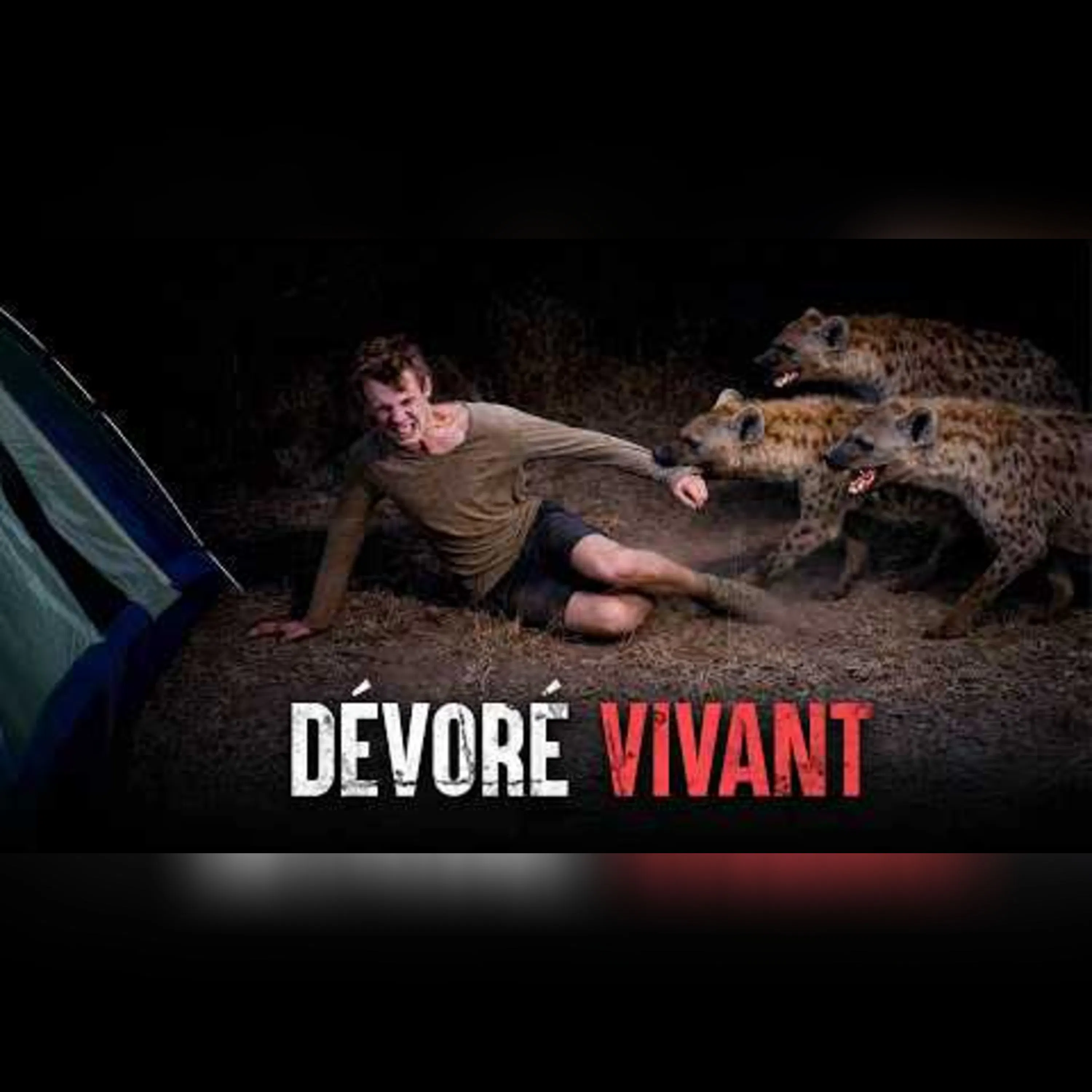 Les attaques de hyènes les plus mortelles episode artwork
