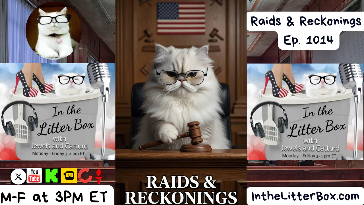 Raids & Reckonings | In the Litter Box w/ Jewels Jones & Catturd – Ep. 1014 4/29/2026 episode artwork