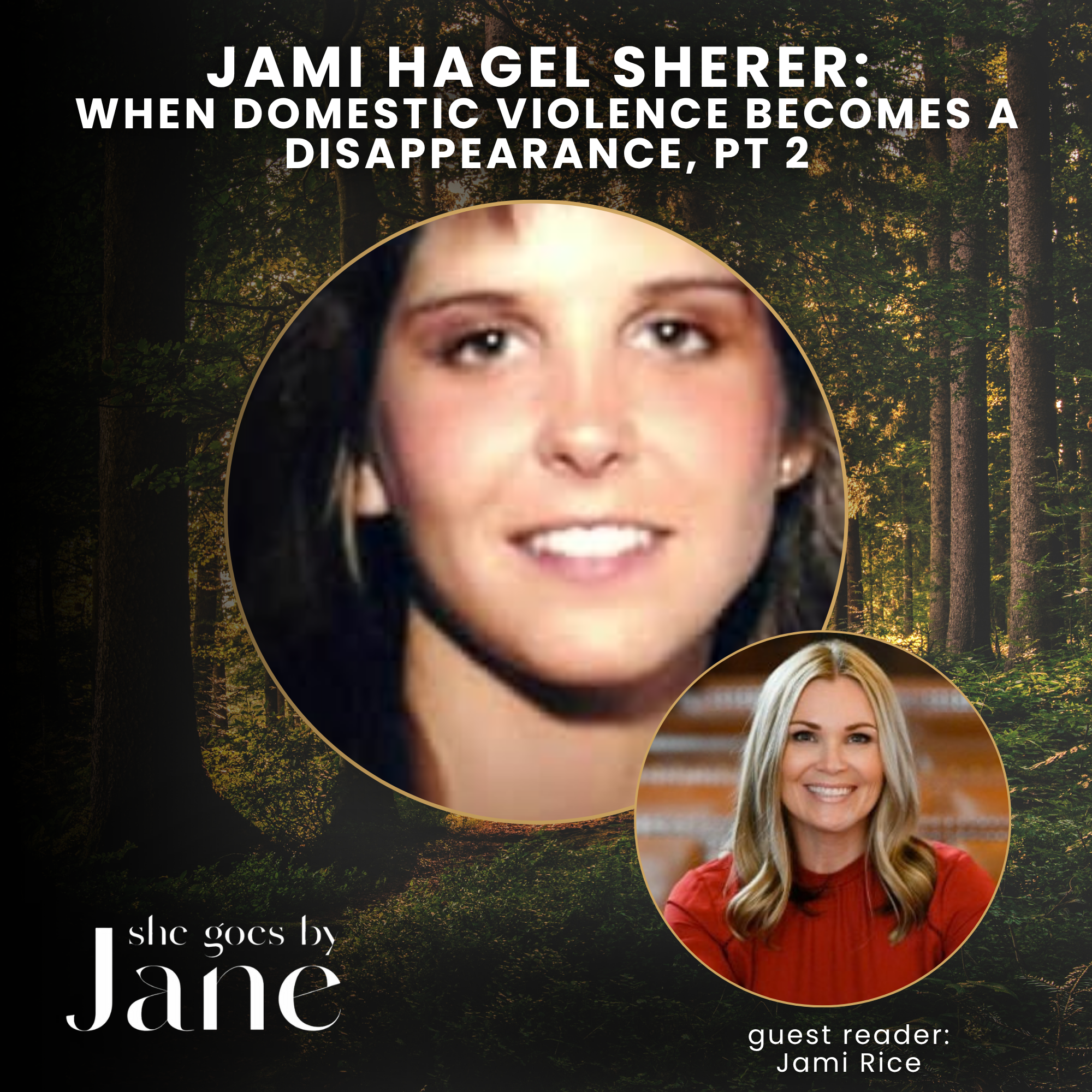 157: Jami Hagel Sherer: When Domestic Violence Becomes a Disappearance, Pt 2