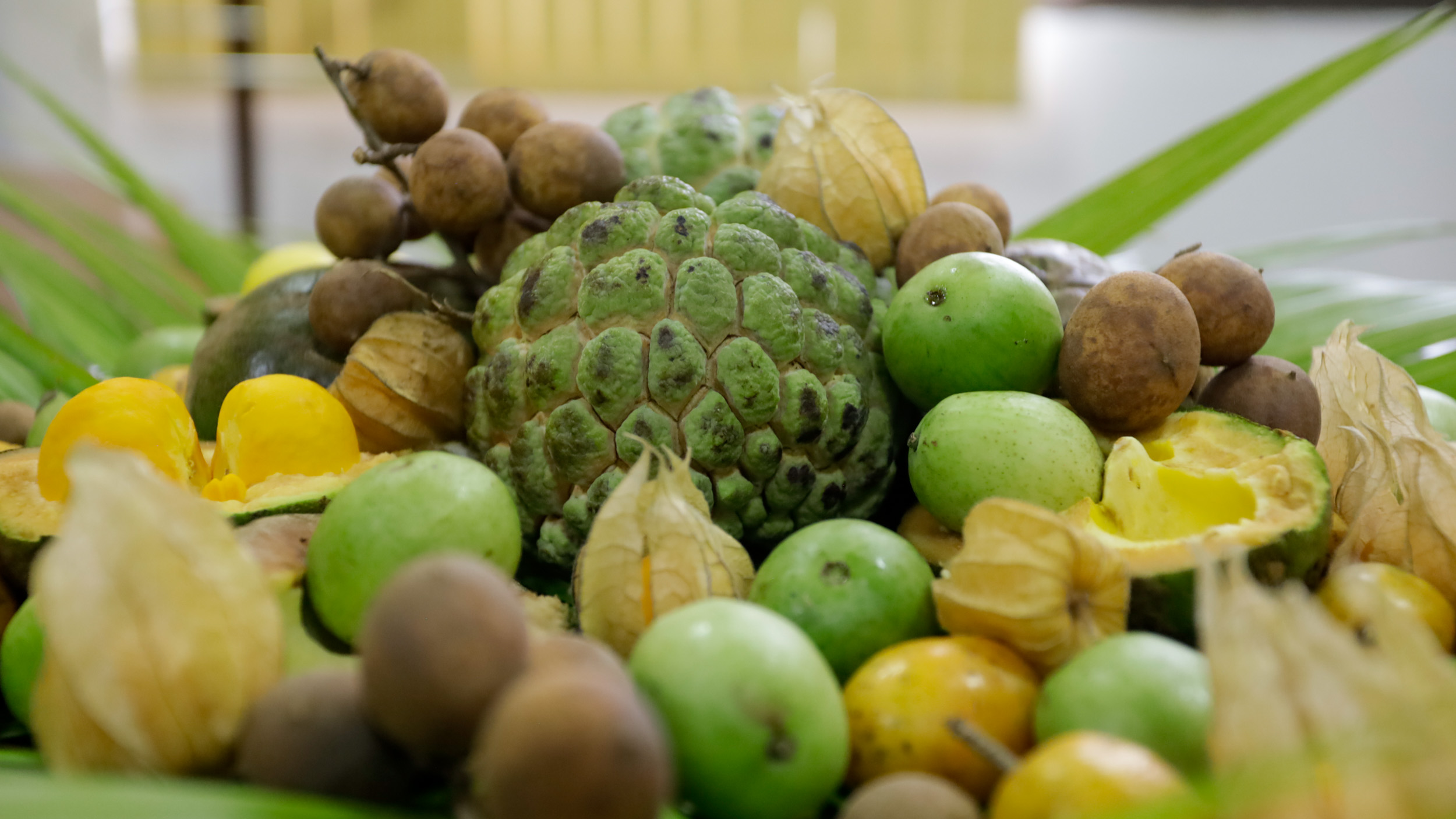 El Niño severo pode elevar a inflação dos alimentos a 10% em 2026 episode artwork