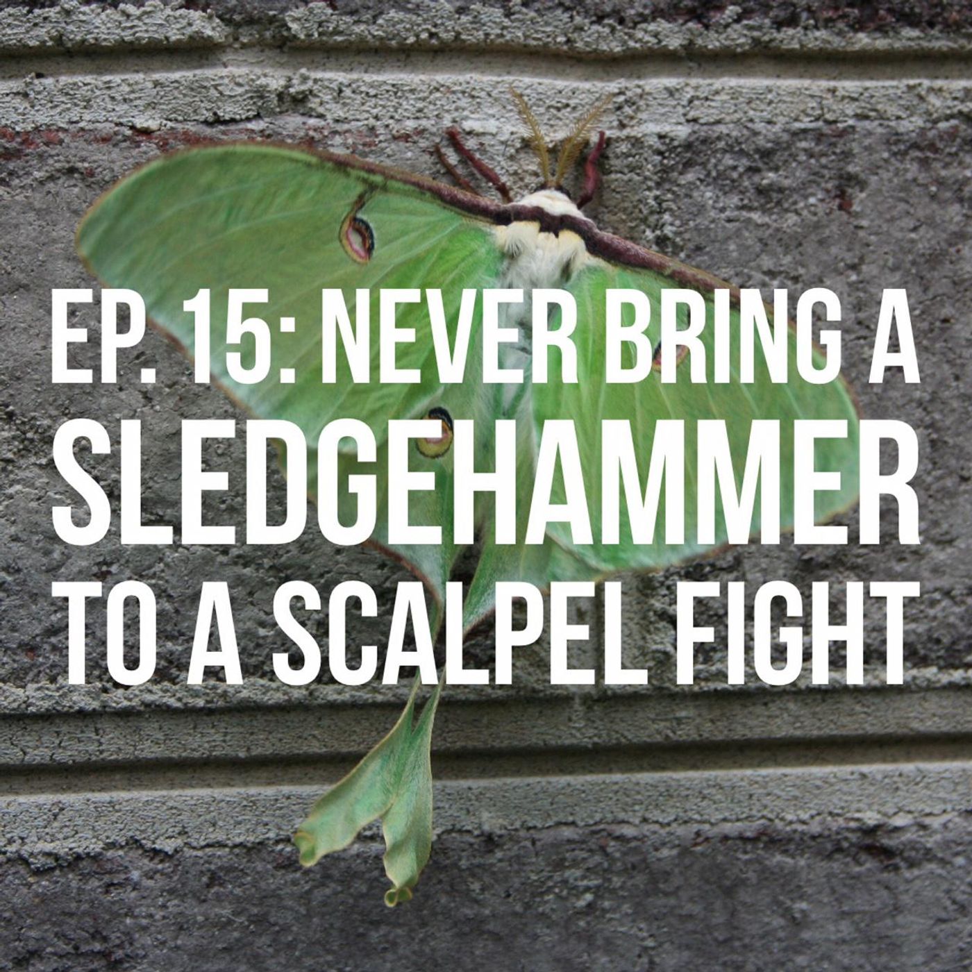 Never Bring a Sledgehammer to a Scalpel Fight