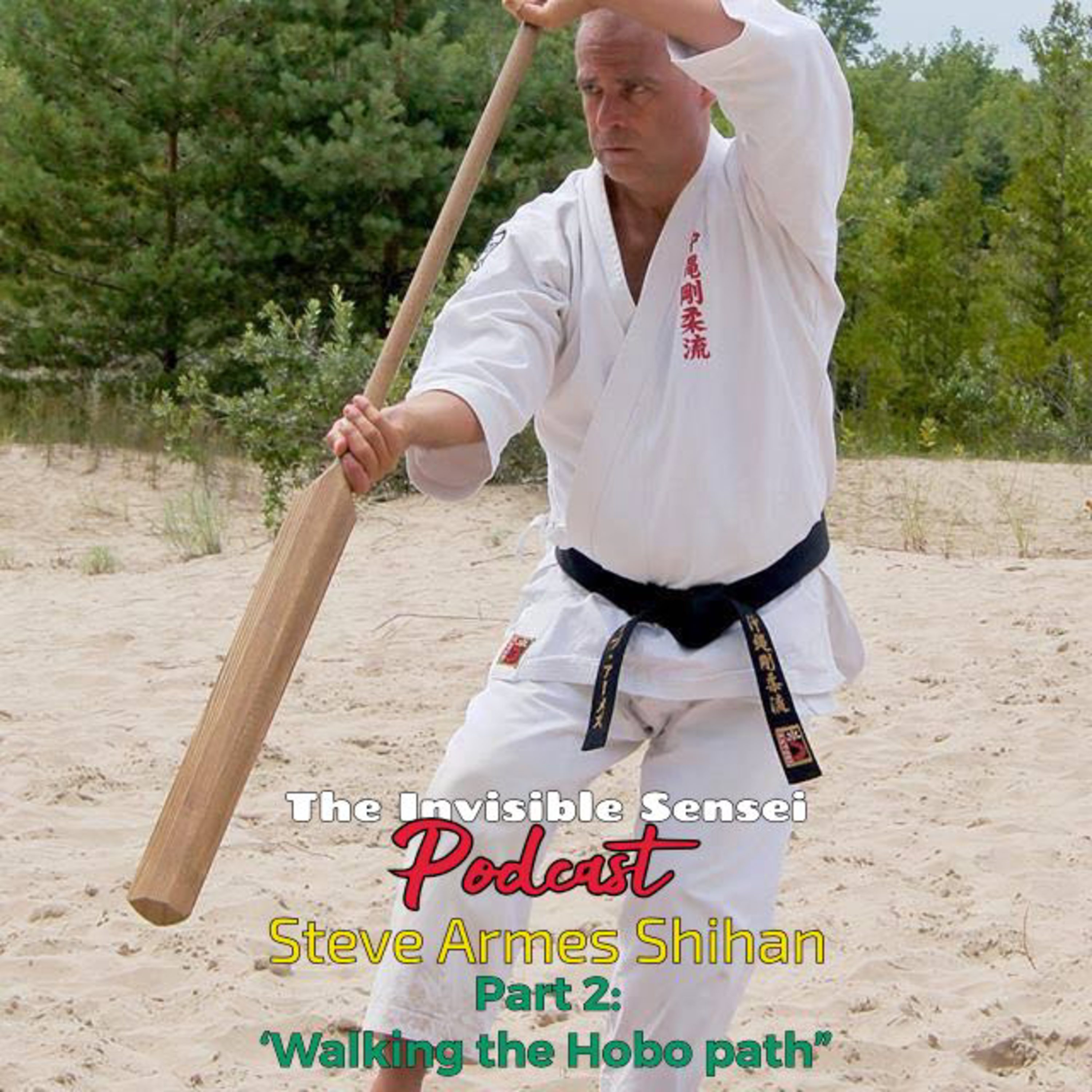 Steve Armes Shihan "walking the Hobo path" full interview episode artwork