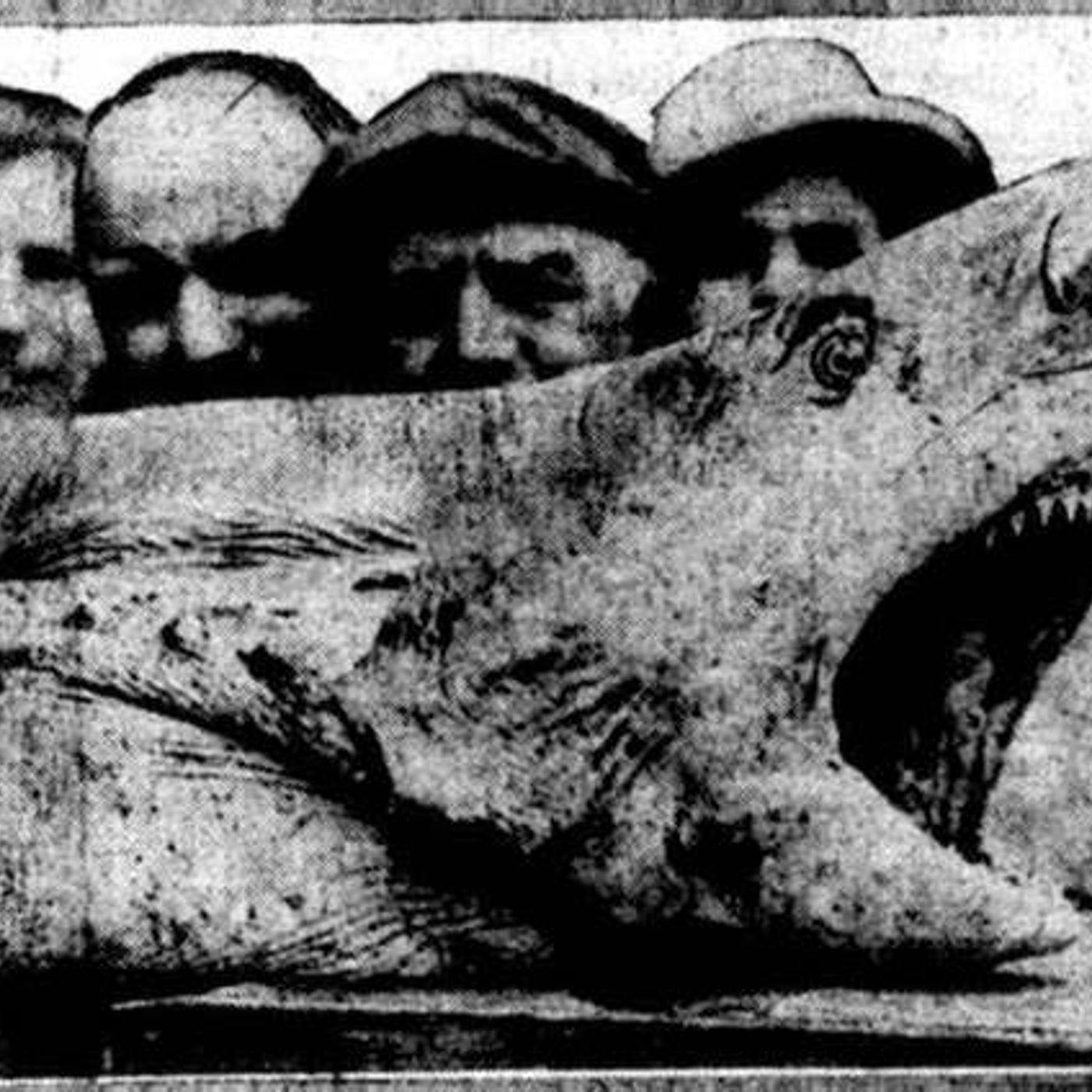 Episode  43 The 1916 Shark Attacks and the Jersy Shore episode artwork