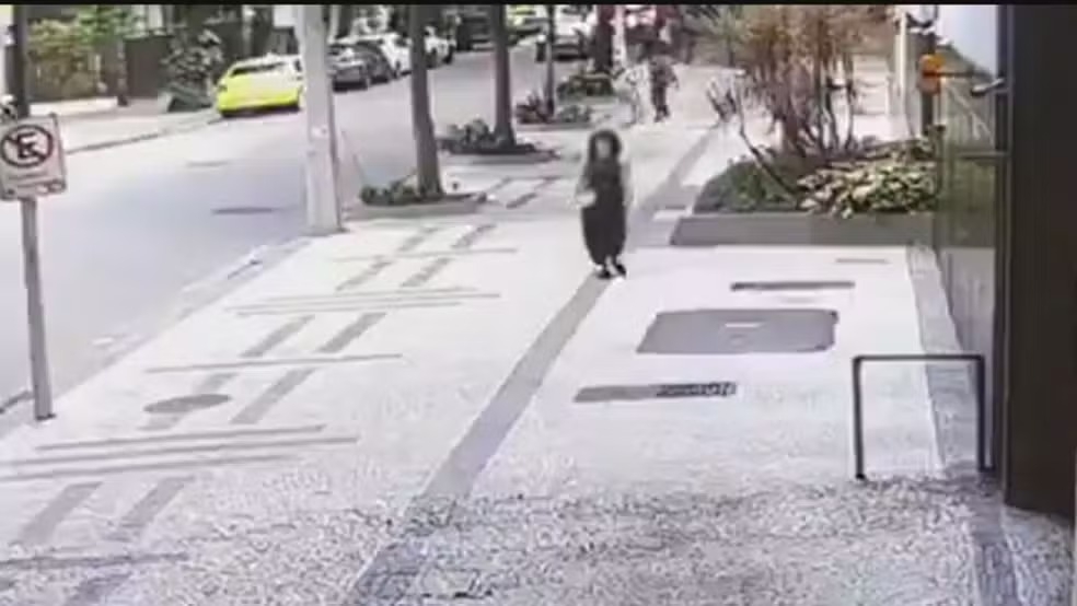 Polícia prende integrante de quadrilha que atacou arqueóloga no Leblon episode artwork