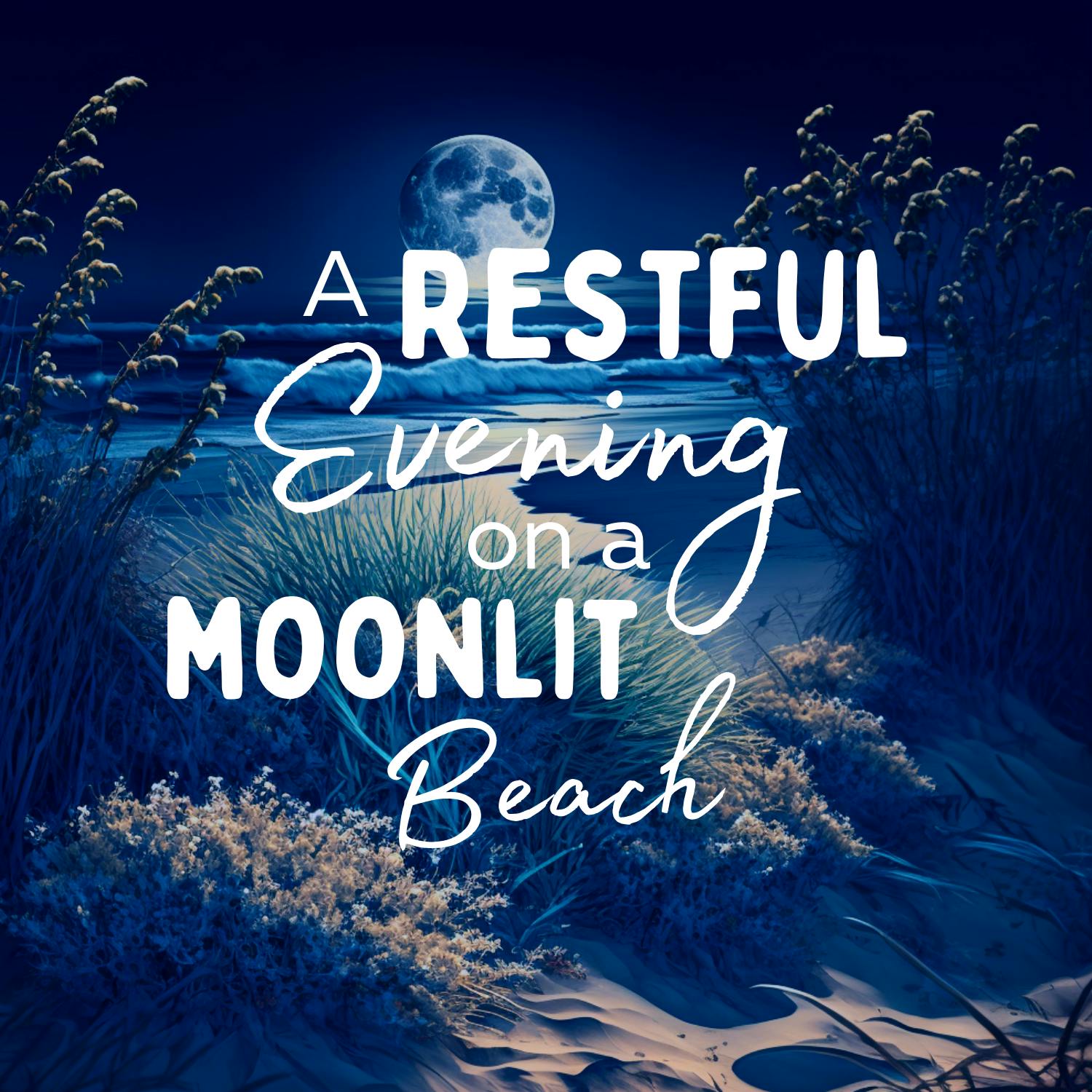 A Restful Evening on a Moonlit Beach