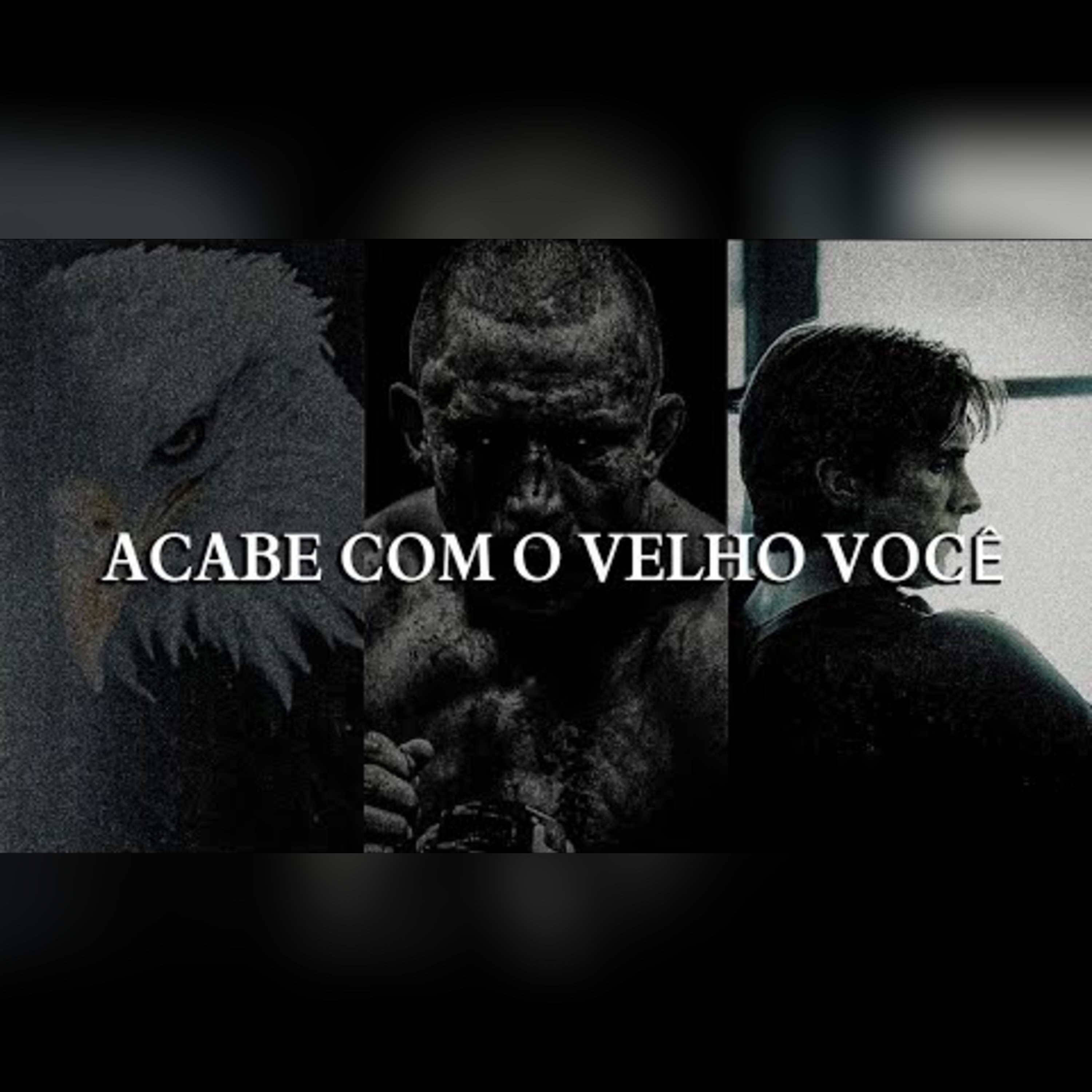 É preciso se reinventar para vencer – Discurso motivacional poderoso