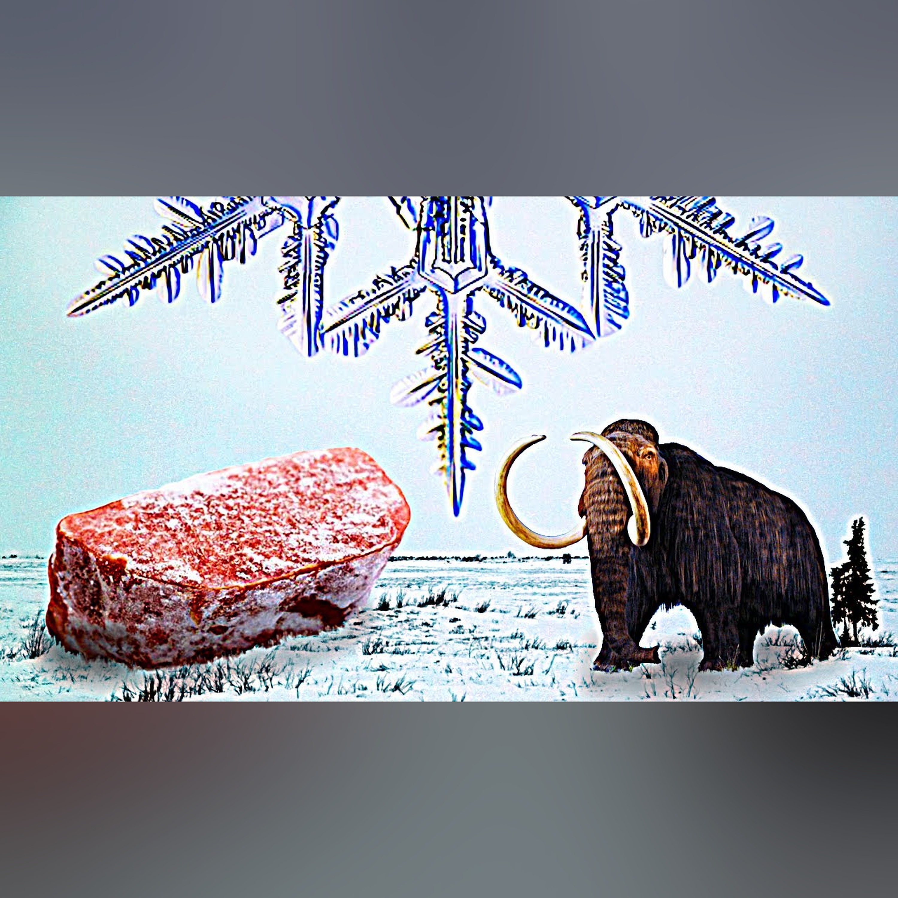 The Surprising History of Frozen Food