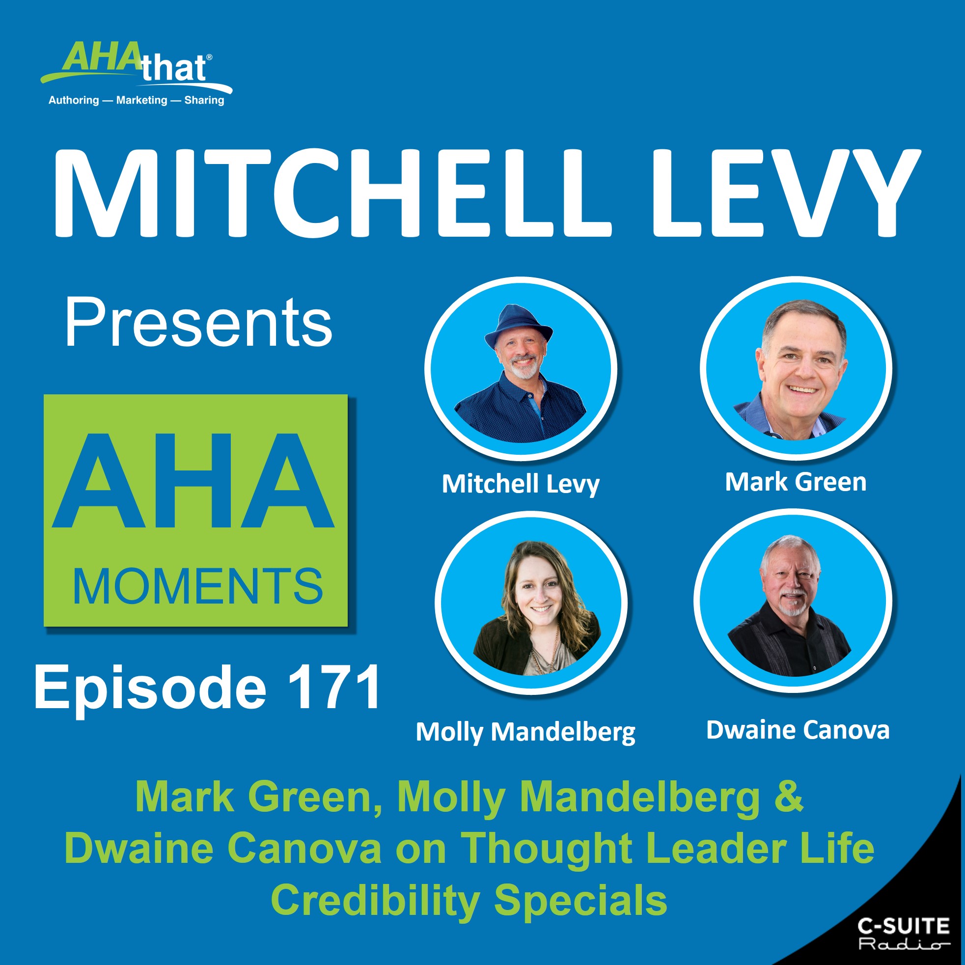 Mitchell Levy Presents AHA Moments
