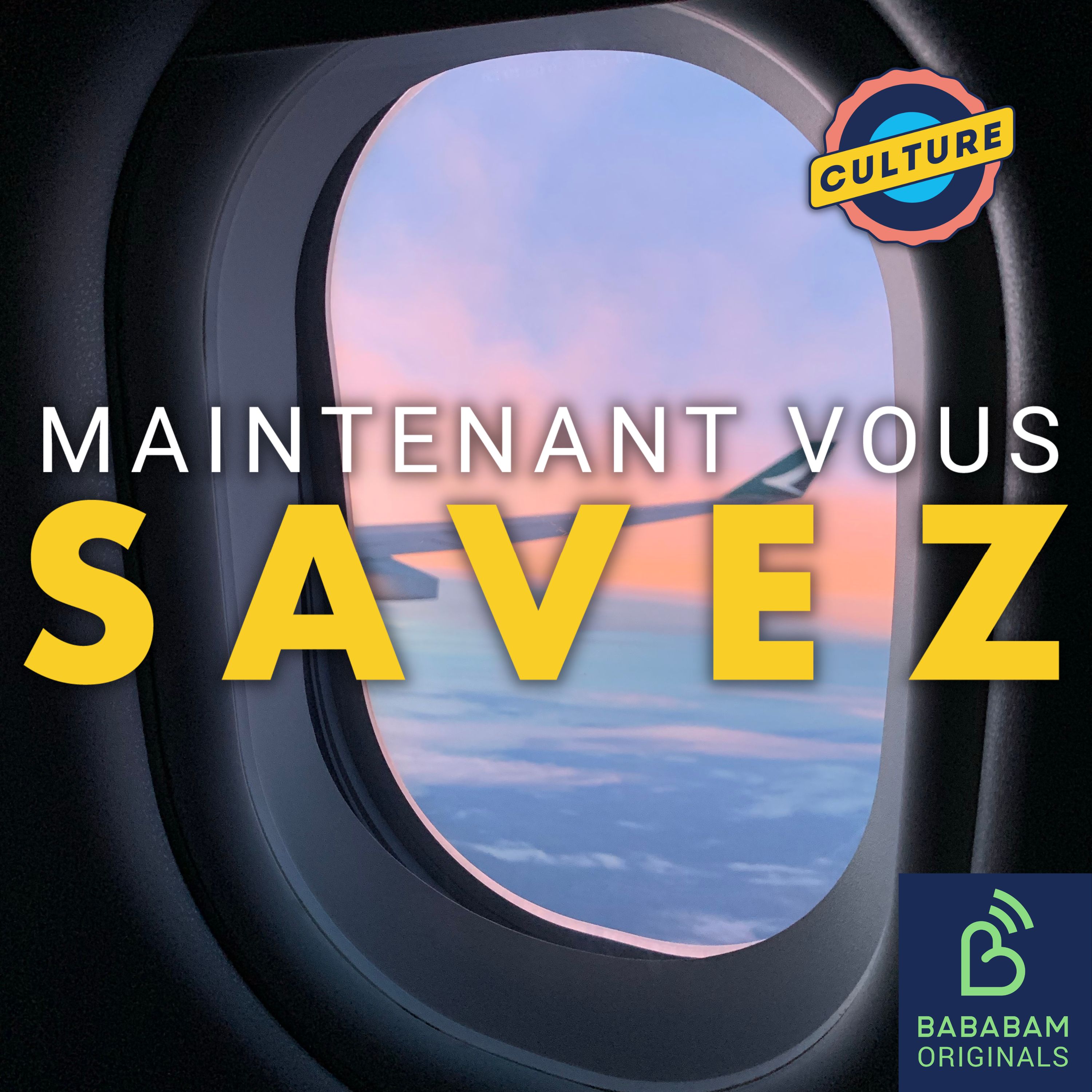 Pourquoi les films sont-ils censurés dans l'avion ?