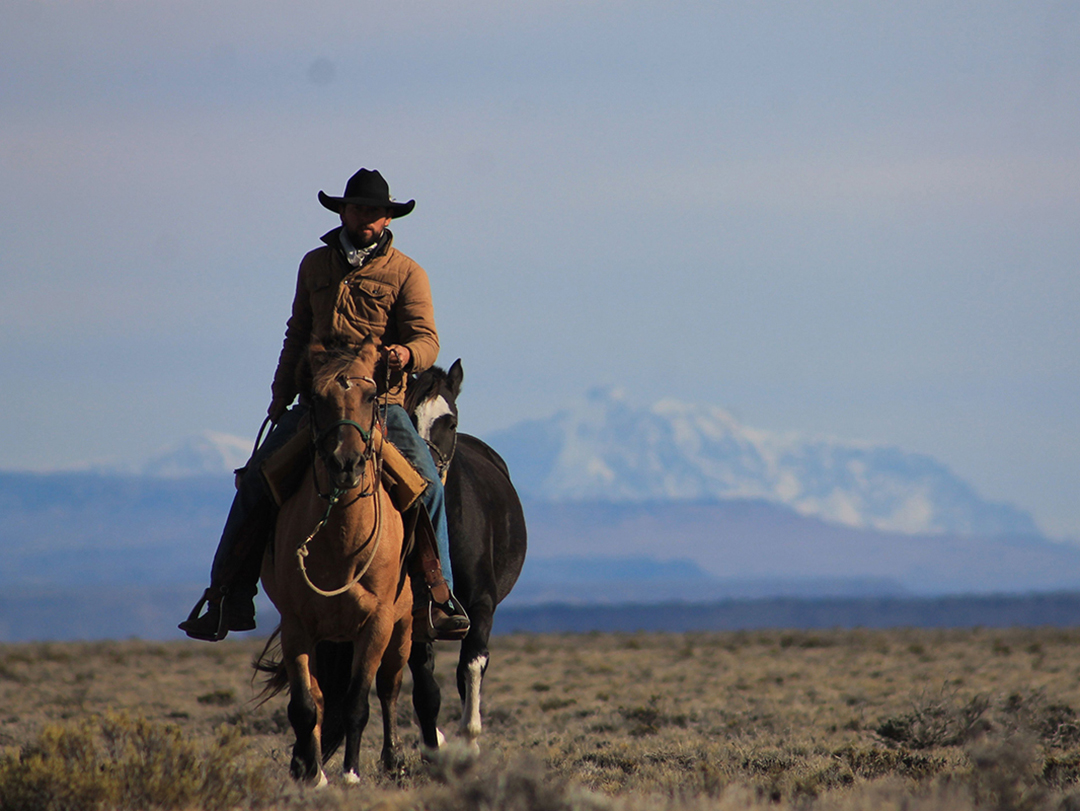 ADVENTURE: The Long Ride Home: 10,000-miles on Horseback from Canada to Brazil