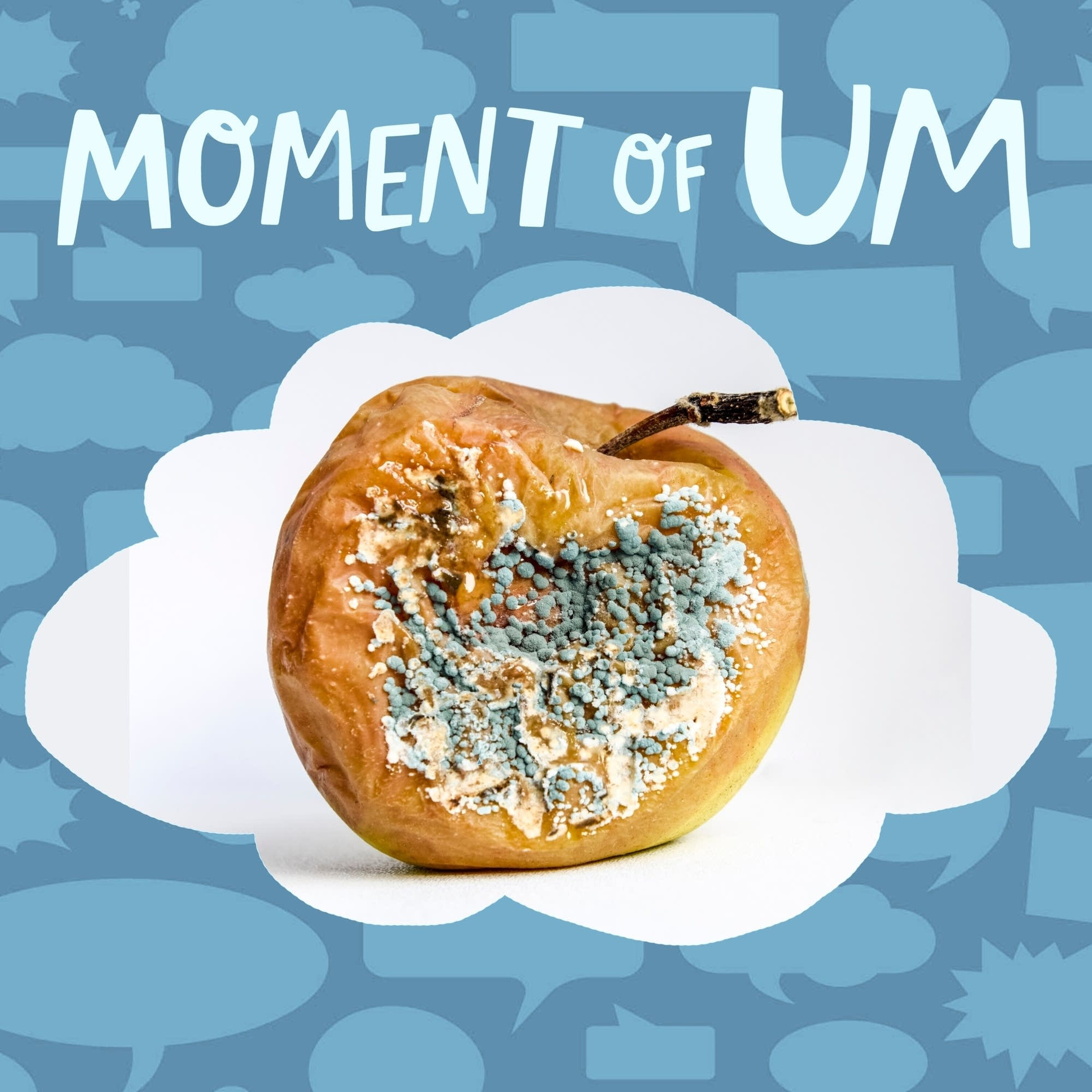 Why does mold have different colors?