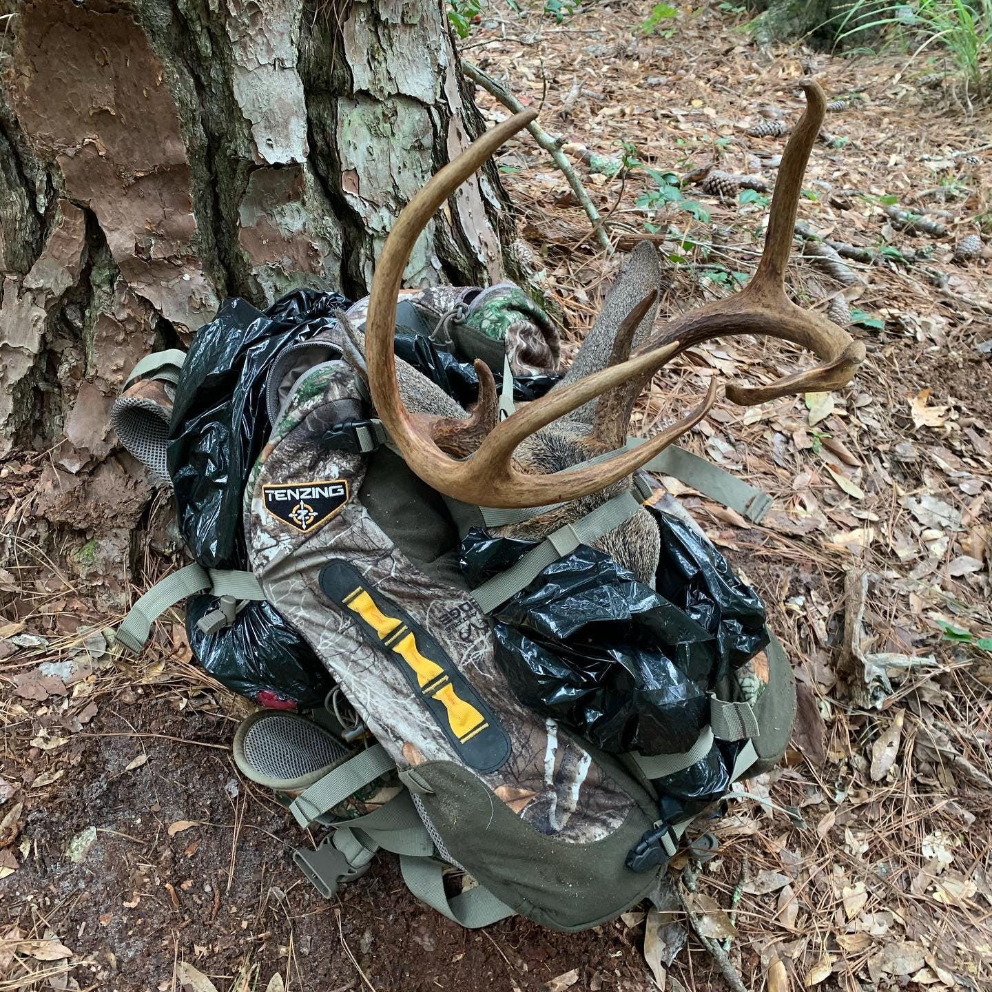 How to Hunt Buck Bedding Areas in the Southeast w/ Ricky Bullard episode artwork