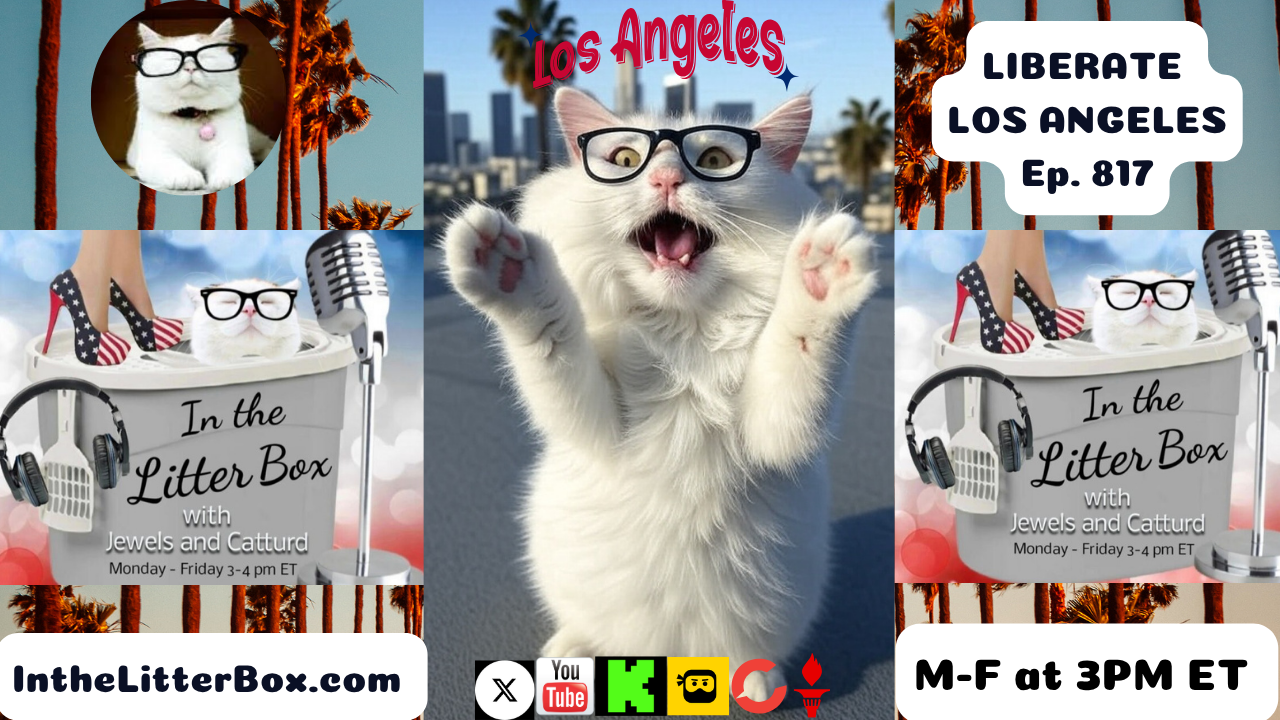 LIBERATE LOS ANGELES | In the Litter Box w/ Jewels & Catturd – Ep. 817 – 6/9/2025