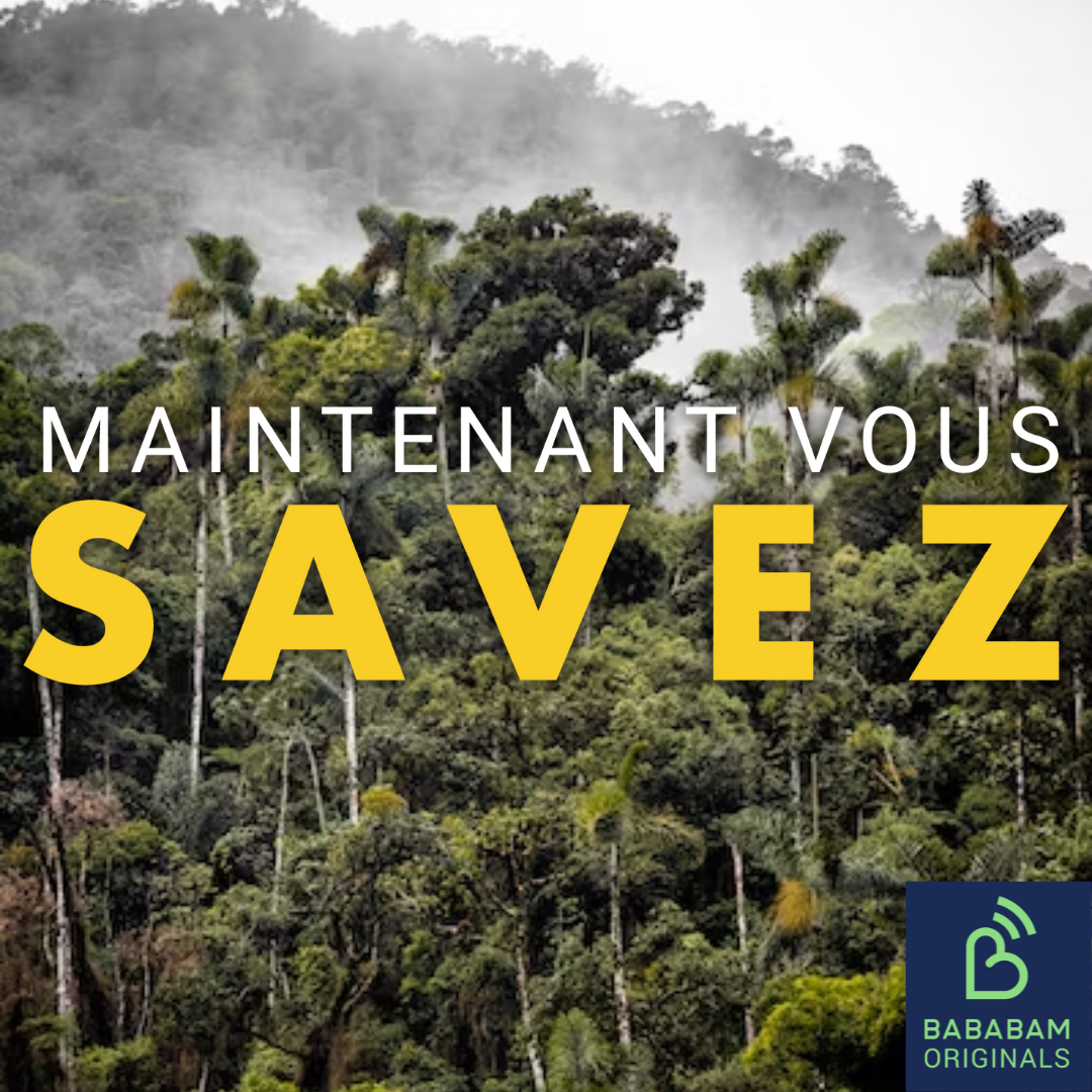 Quel avenir pour la forêt amazonienne ?