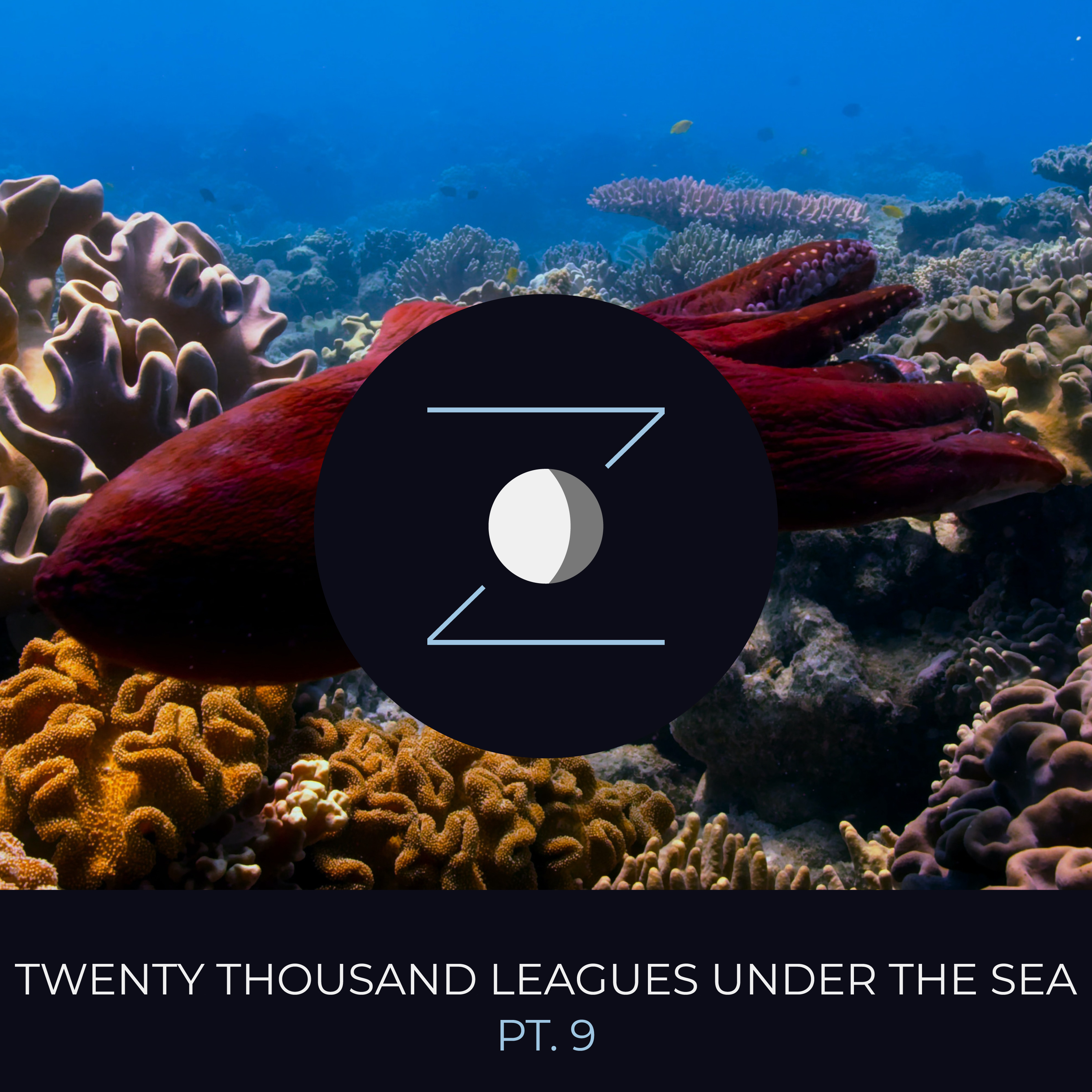 Twenty Thousand Leagues Under the Sea pt. 9 episode artwork