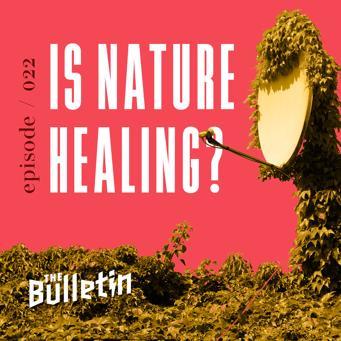 Is Nature Healing?