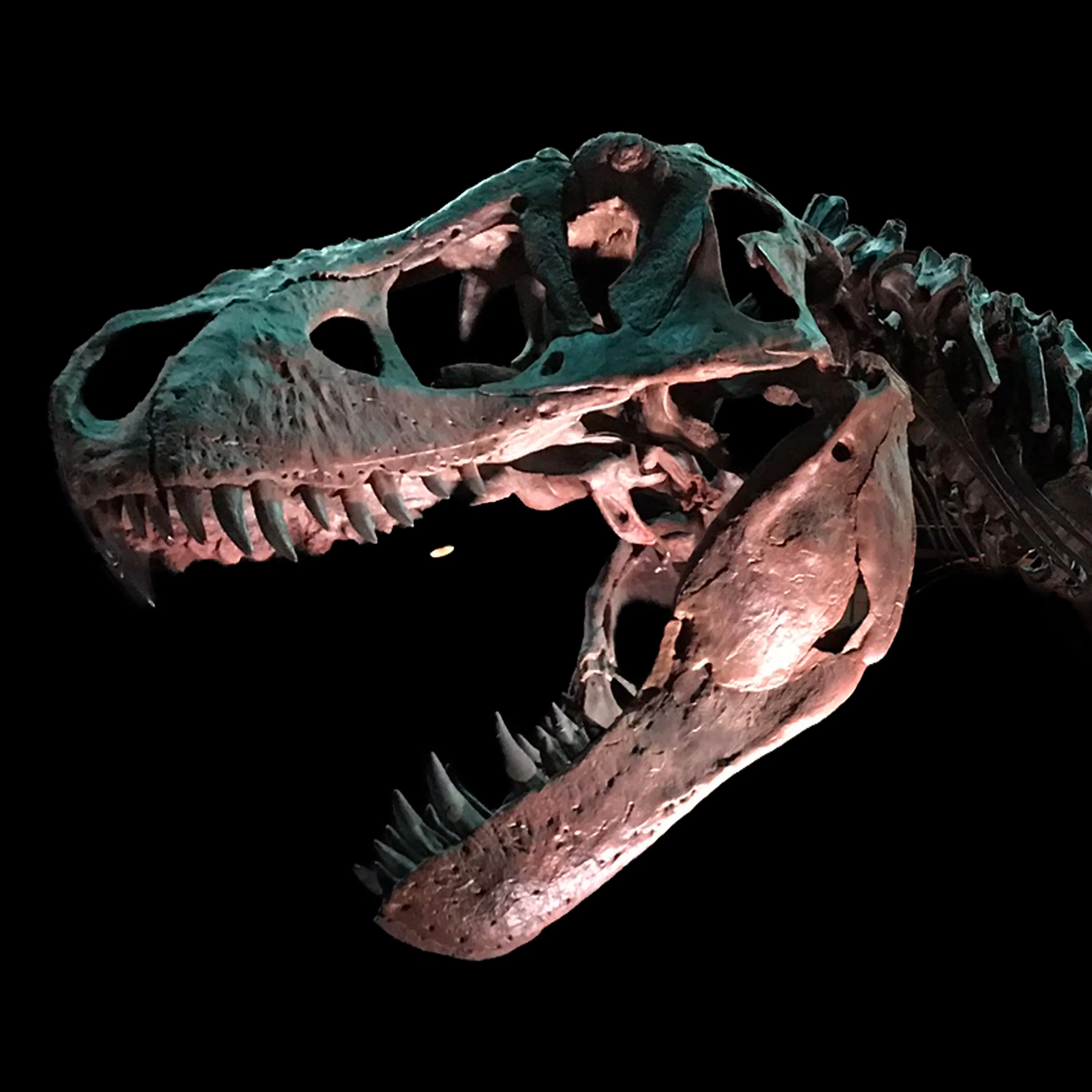 History of Dinosaurs (Paleontology Documentary for Sleep, No AI) episode artwork