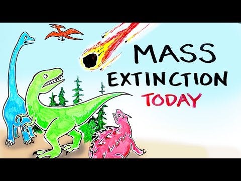Mass Extinction Crisis TODAY | After Skool Mass Extinction Crisis TODAY | After Skool