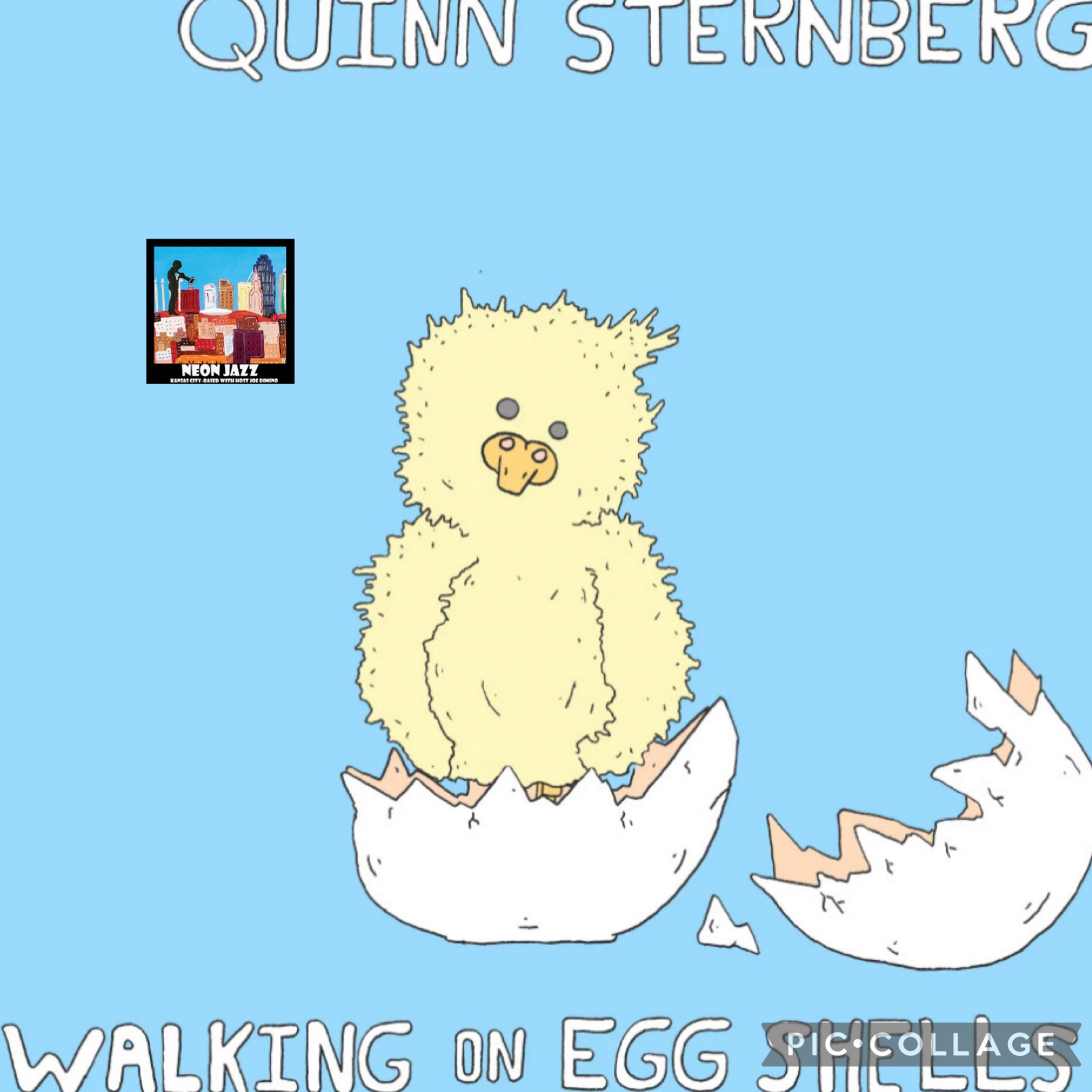 Jazz Bassist Quinn Sternberg on the 2023 CD Walking on Eggshells episode artwork