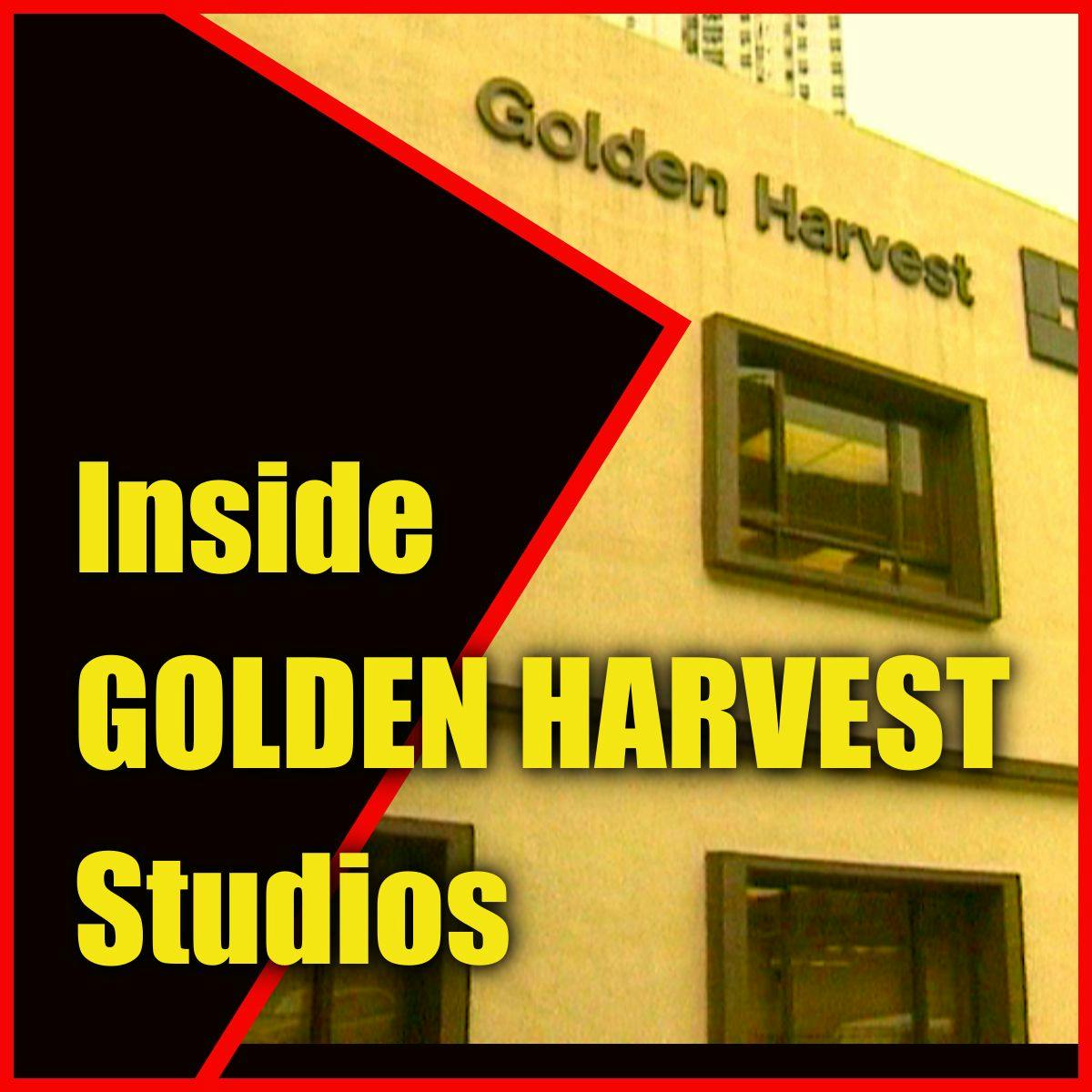 Inside Golden Harvest Studios Andrew Staton