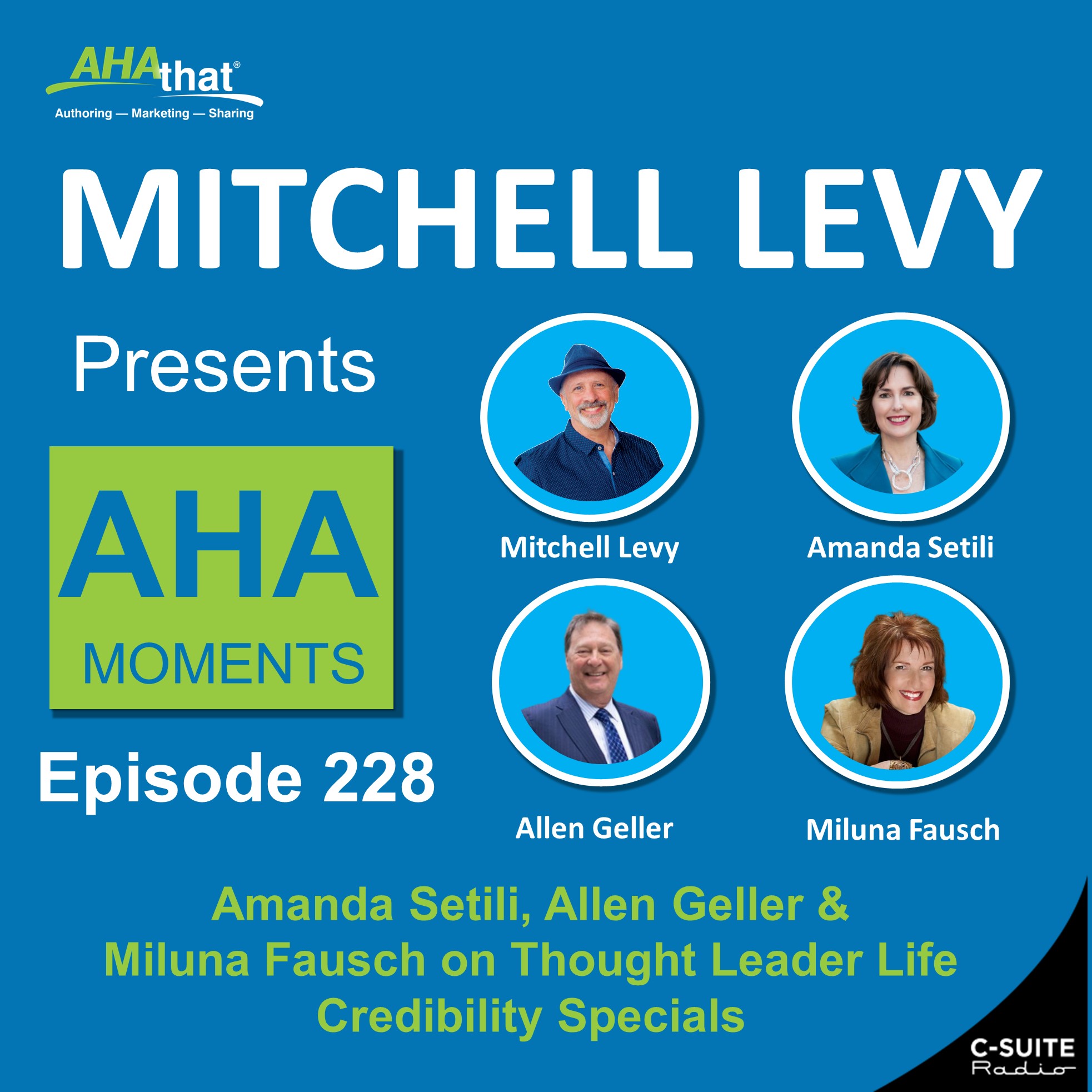 Mitchell Levy Presents AHA Moments