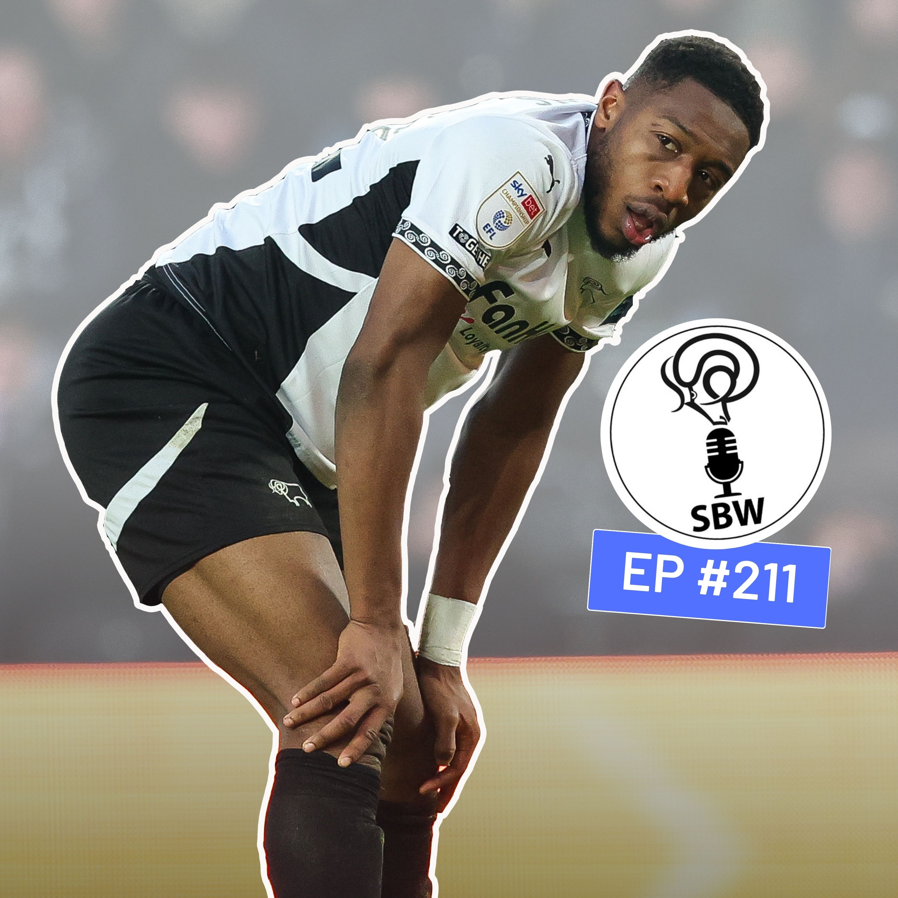 SBW 211: Woodwork woe as Hornets sting