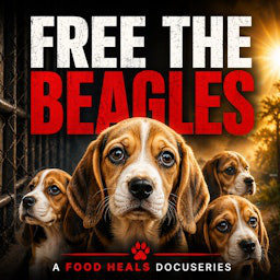 Free The Beagles