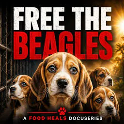Free The Beagles