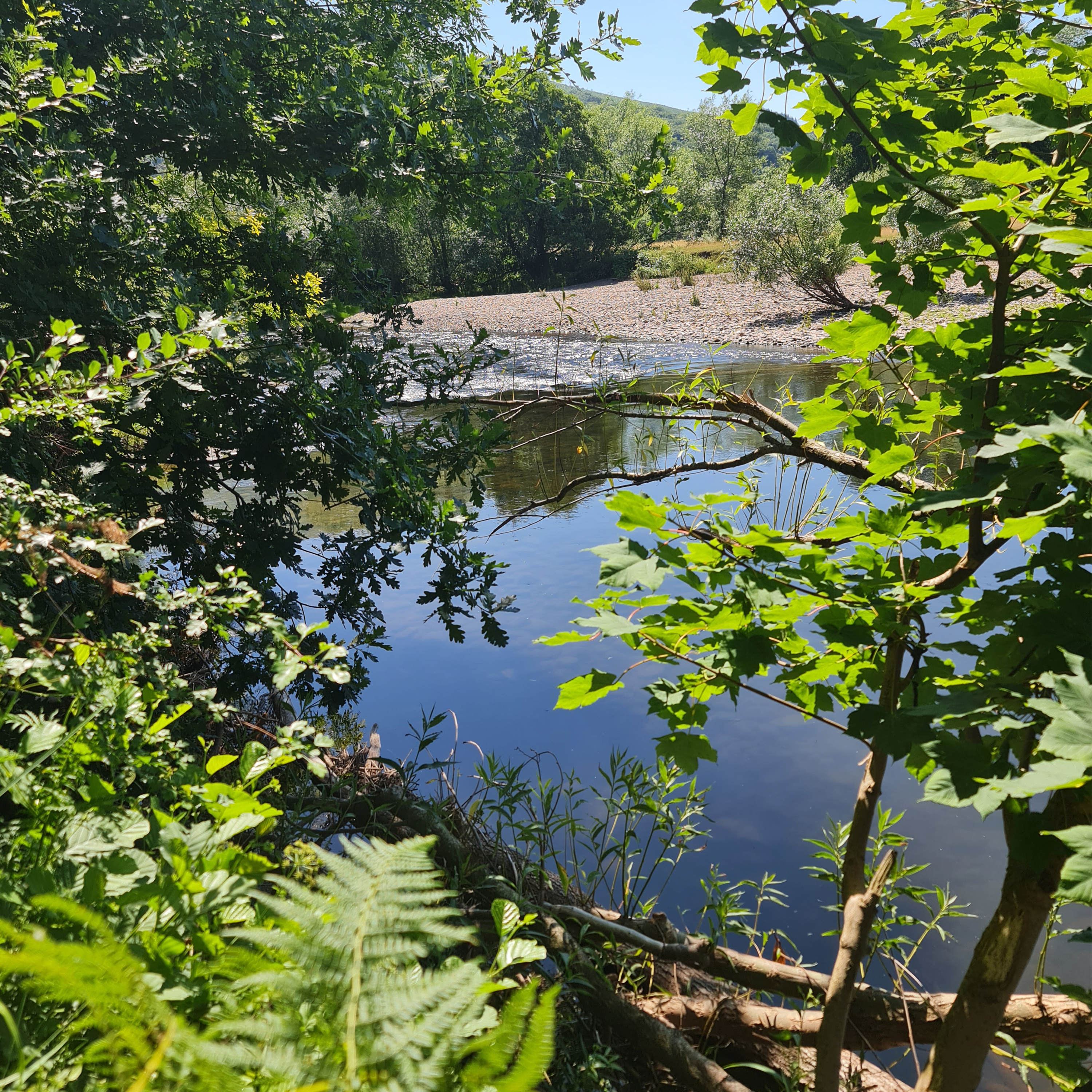 Sound Escape 231. Rest by a cooling river on a hot midsummer day