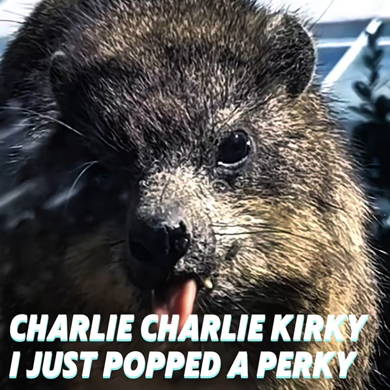 CHARLIE CHARLIE KIRKY I JUST POPPED A PERKY