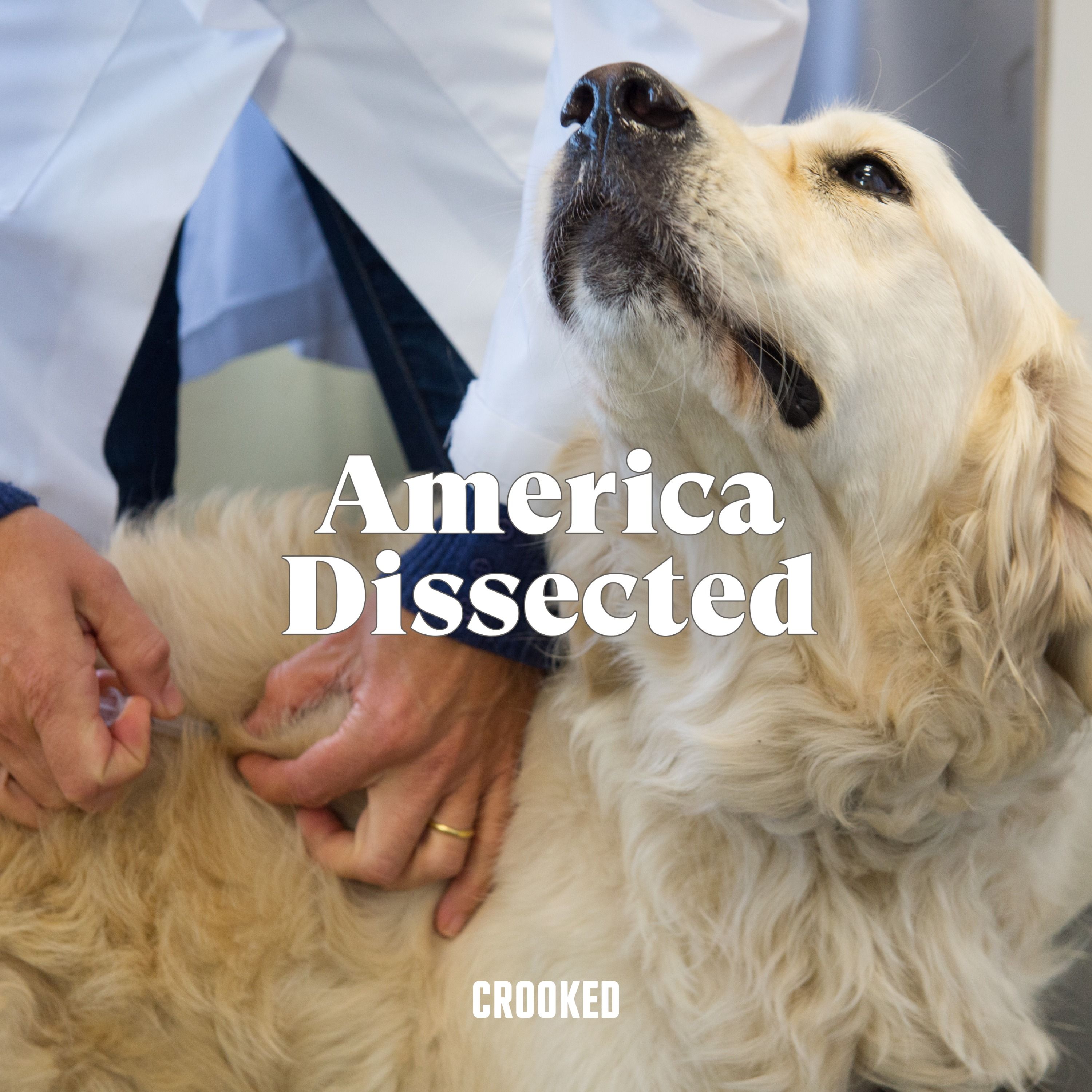 The Public (Health) Lives of Pets