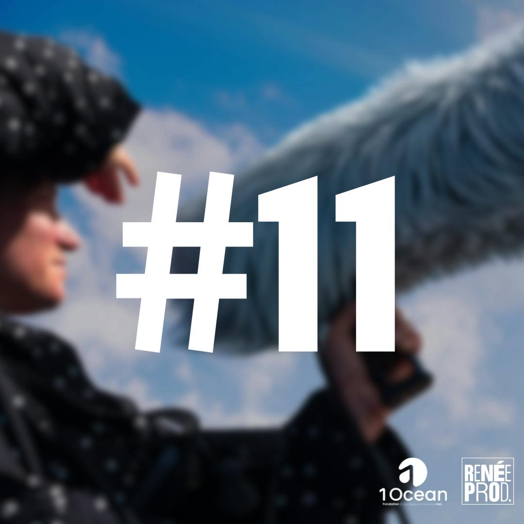 Plongeon avec les manchots Plongeon avec les manchots